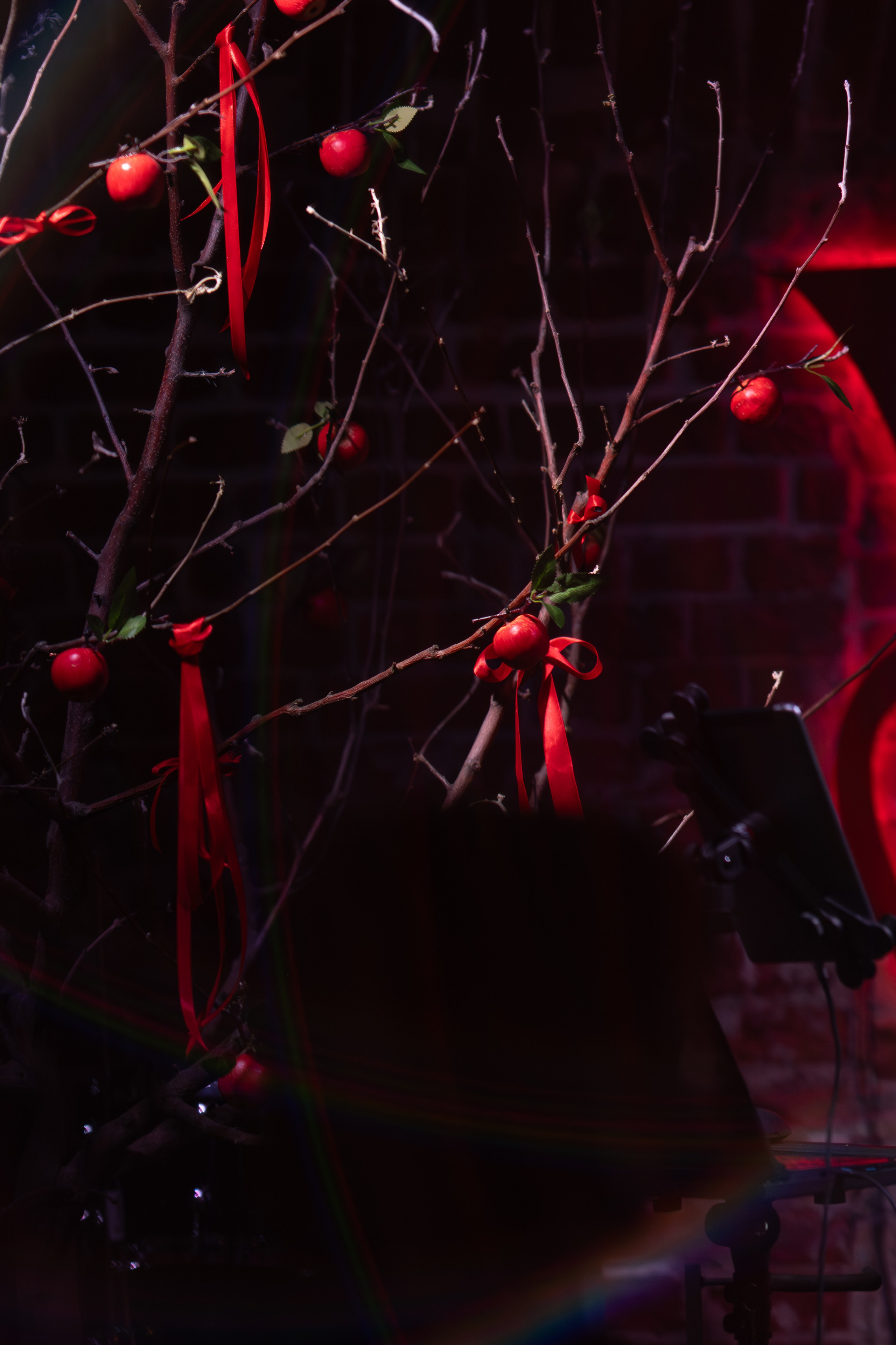 Репортаж. Свободный художник Александр Тулуп в Коломне