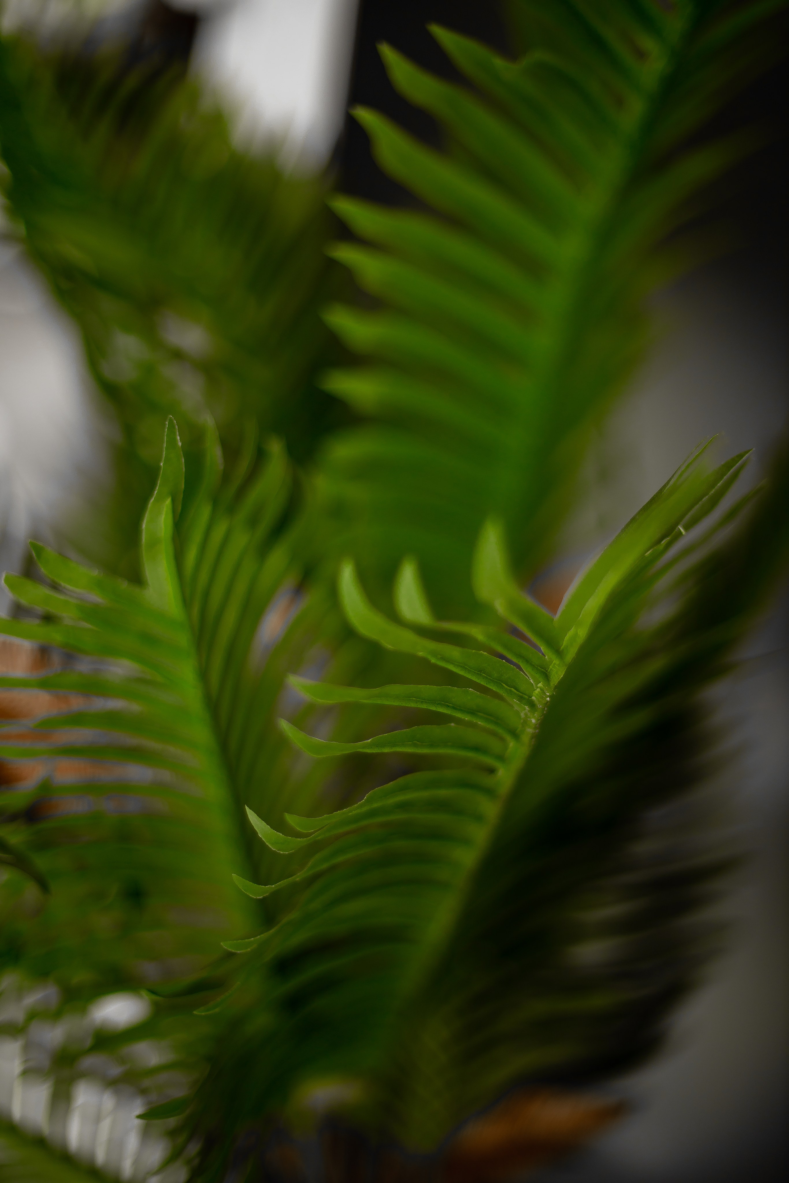 Контент Косметолог. Фотограф