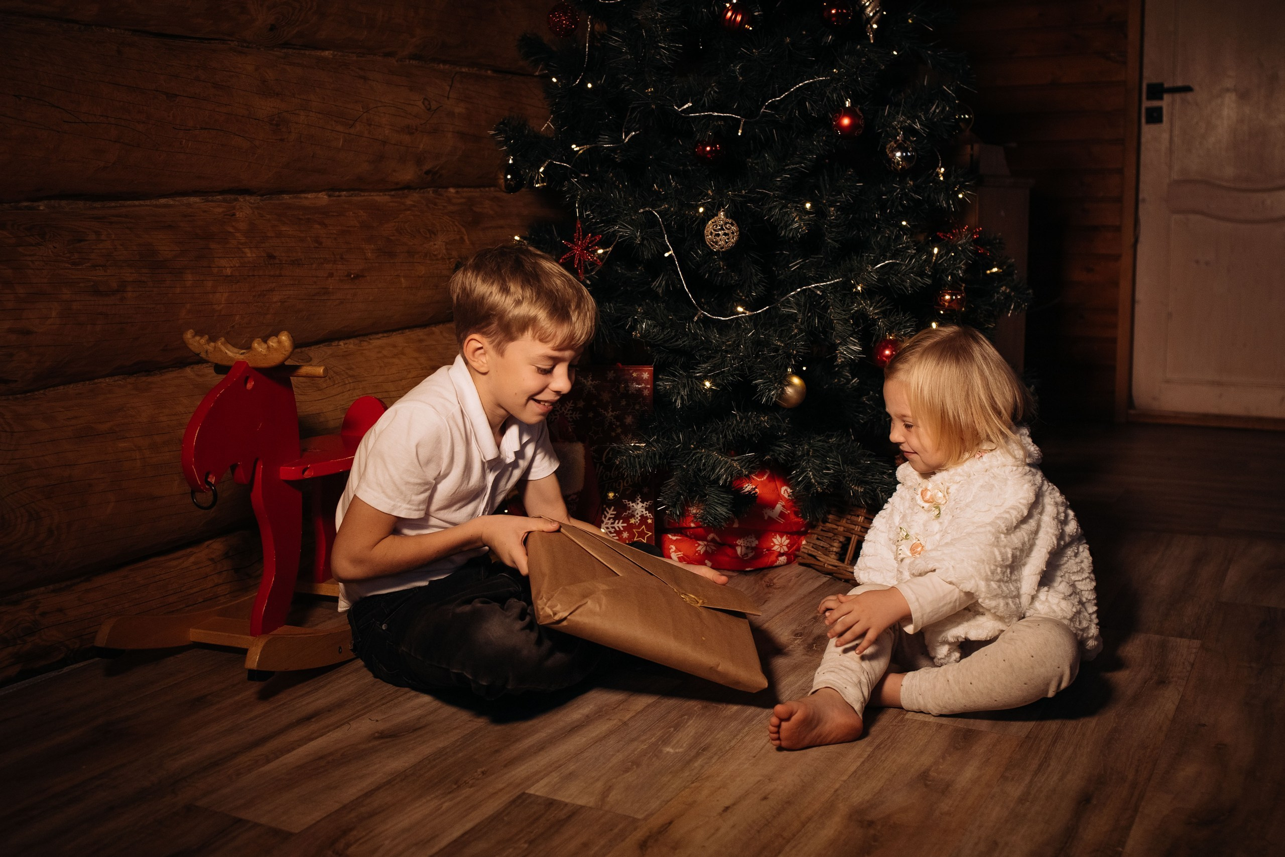 Новый год. Фотограф Алексин|Тула