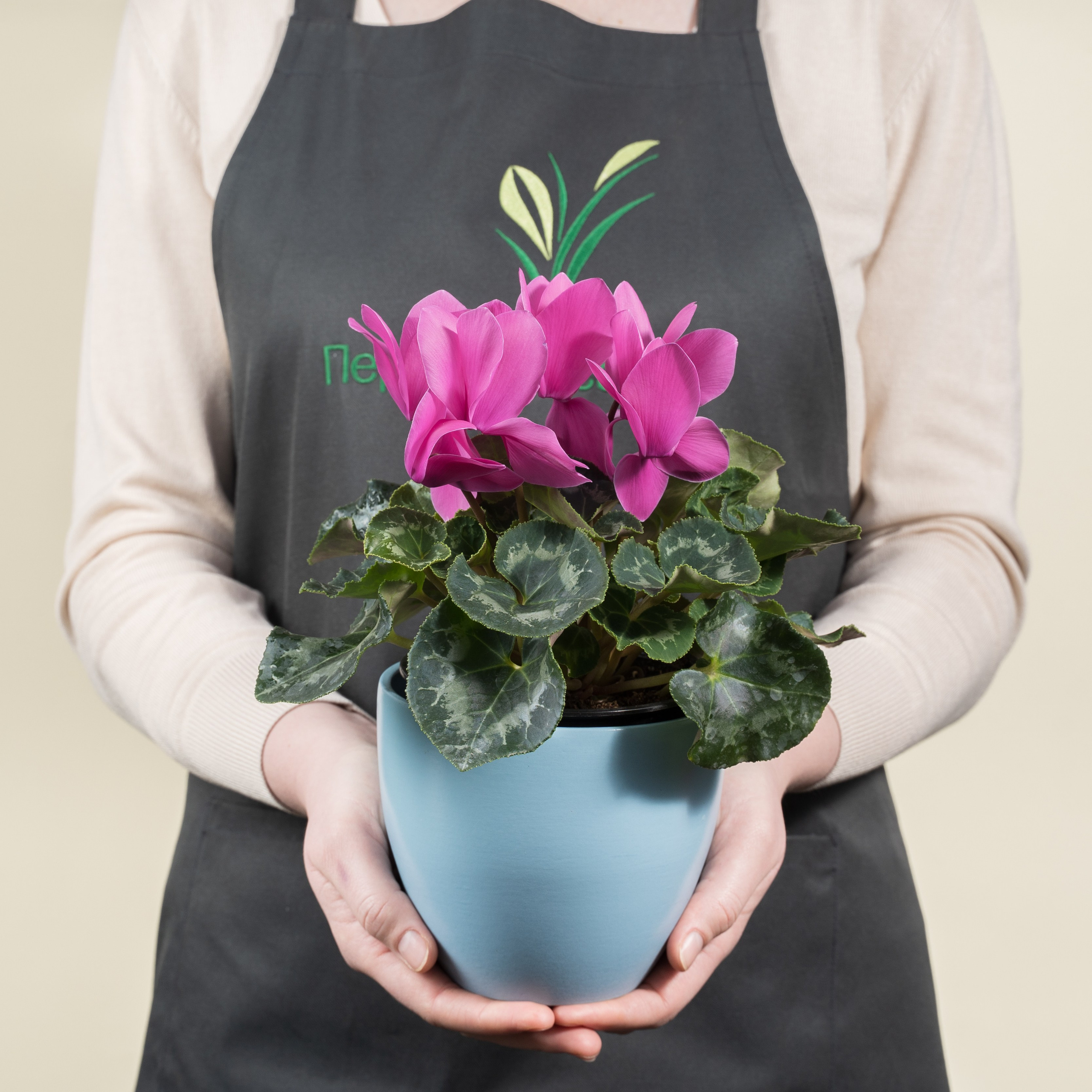 Pemsad. Михаил Белоусов фотограф Пермь