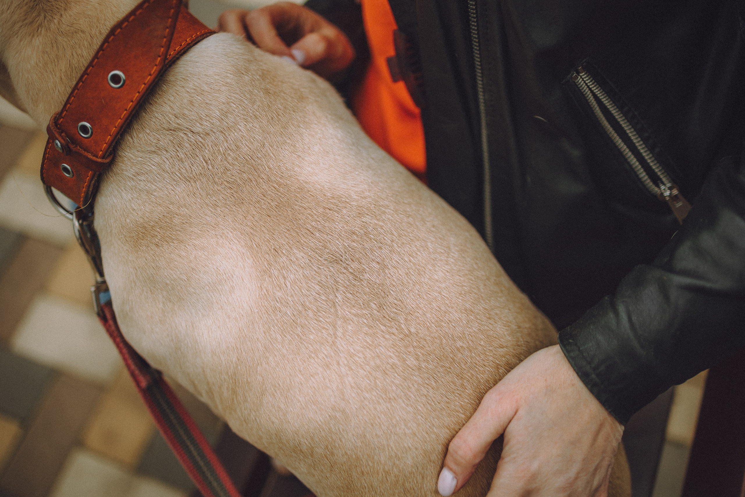 Антонина и Амиша