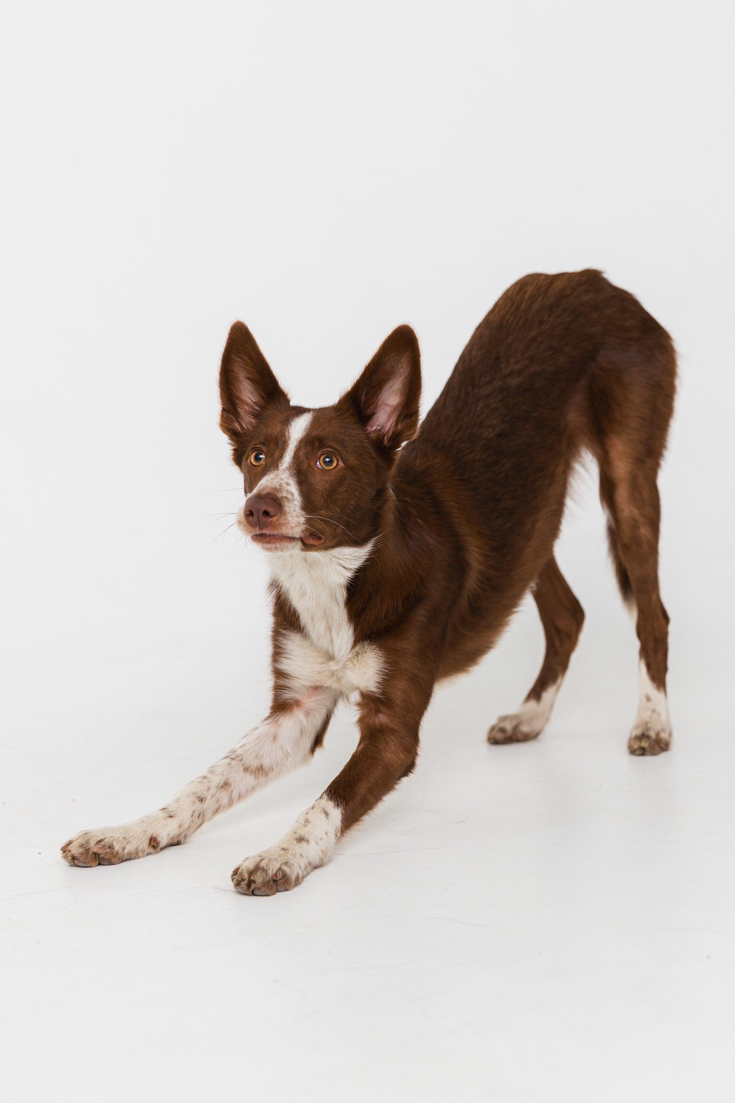 Воркшоп по импульсному свету