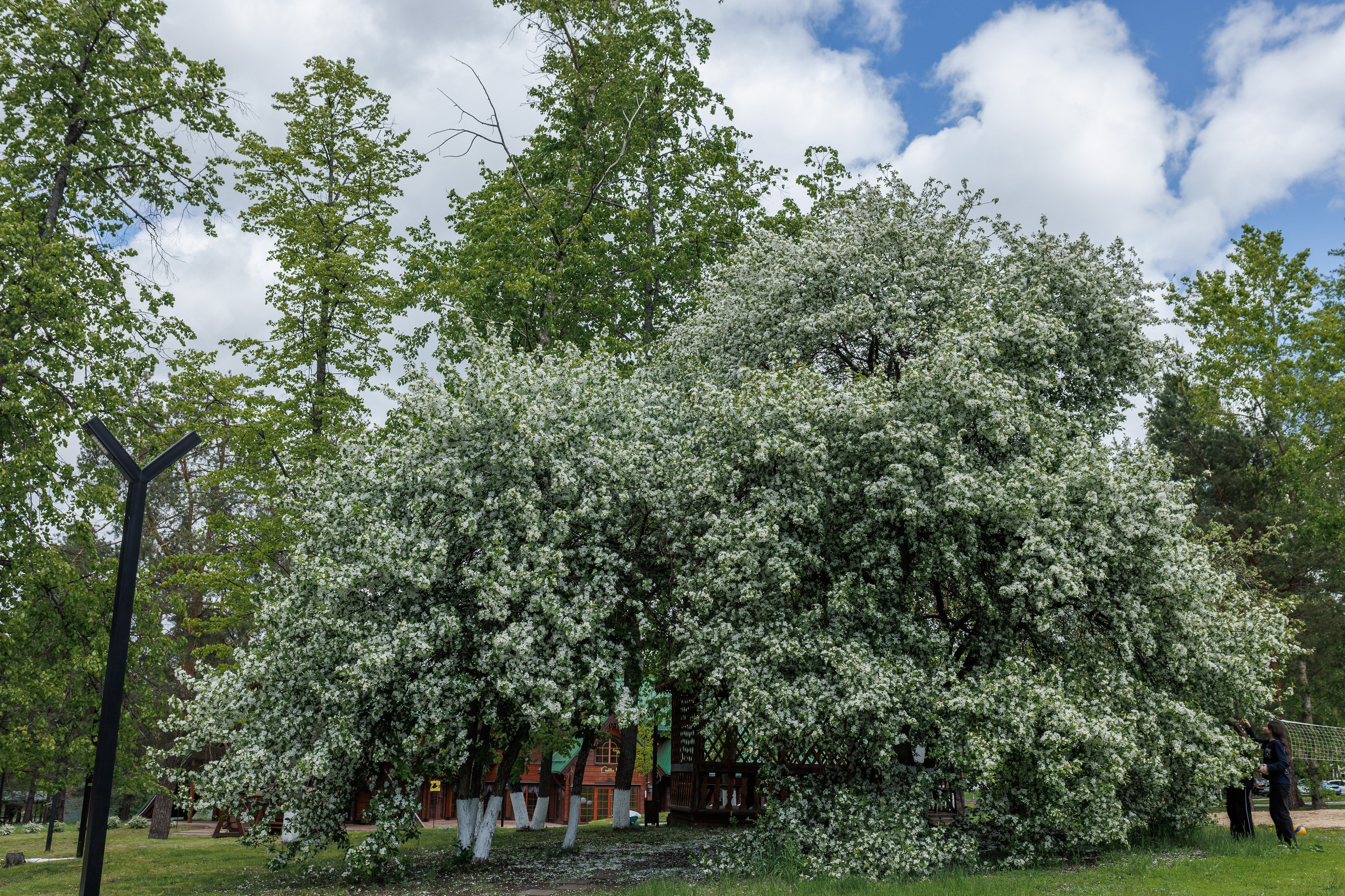 База отдыха «Металлург». Фотограф городских и семейных событий в Нижнем Новгороде Артем Карпухин