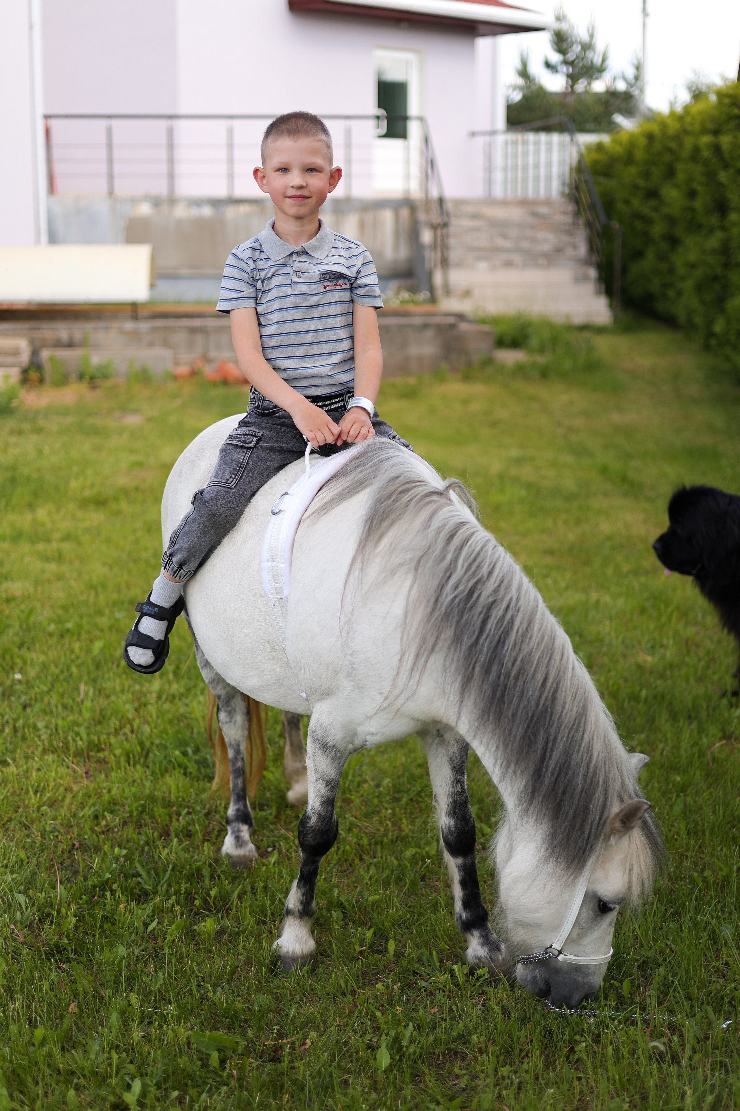 Благотворительный проект в Caritas. Свадебный фотограф Беларусь Ольга Козыренко