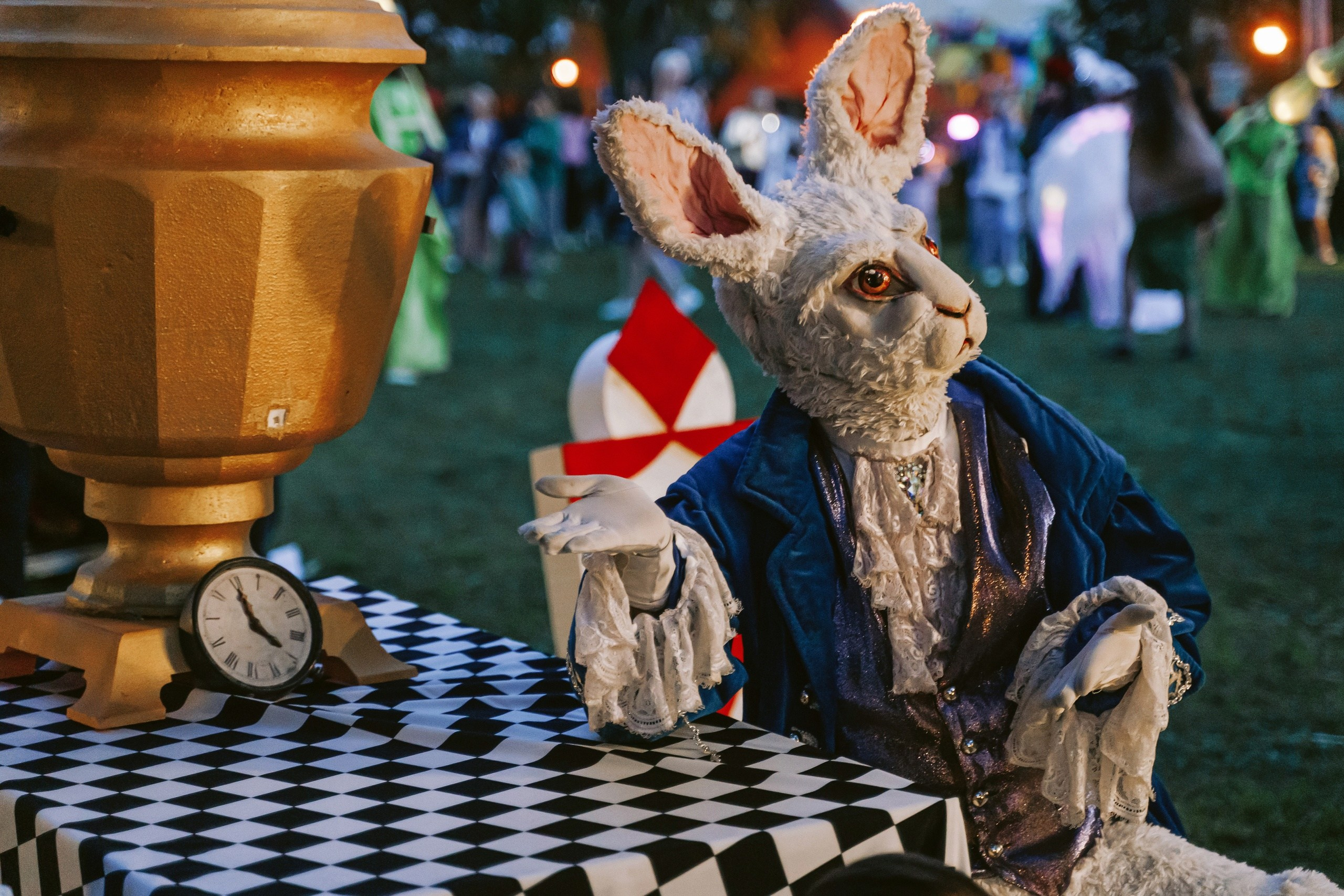 Dream Fest. Photographer Natalia Baranova