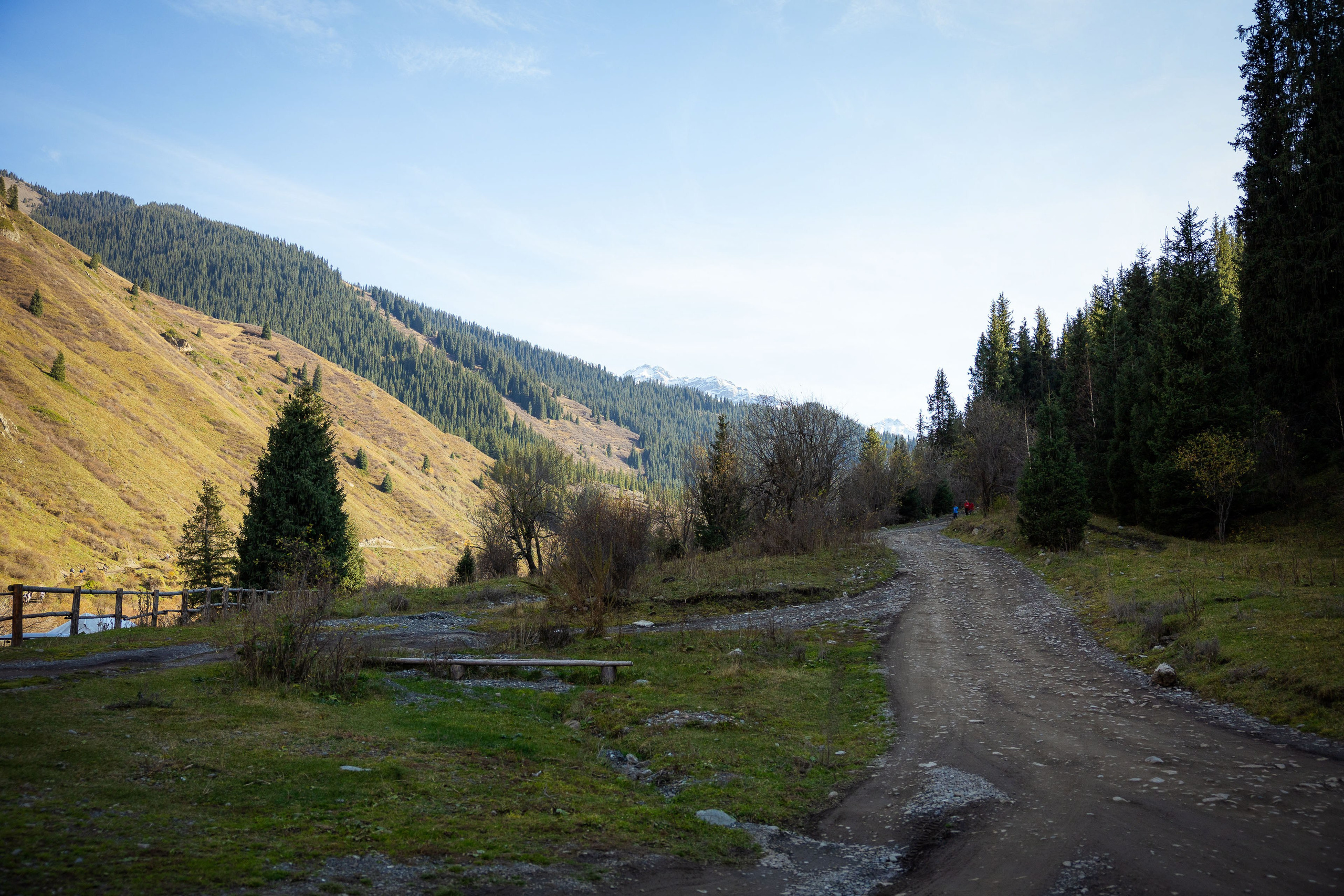 Казахстан (осень 2024). Фотограф Виноградов Константин