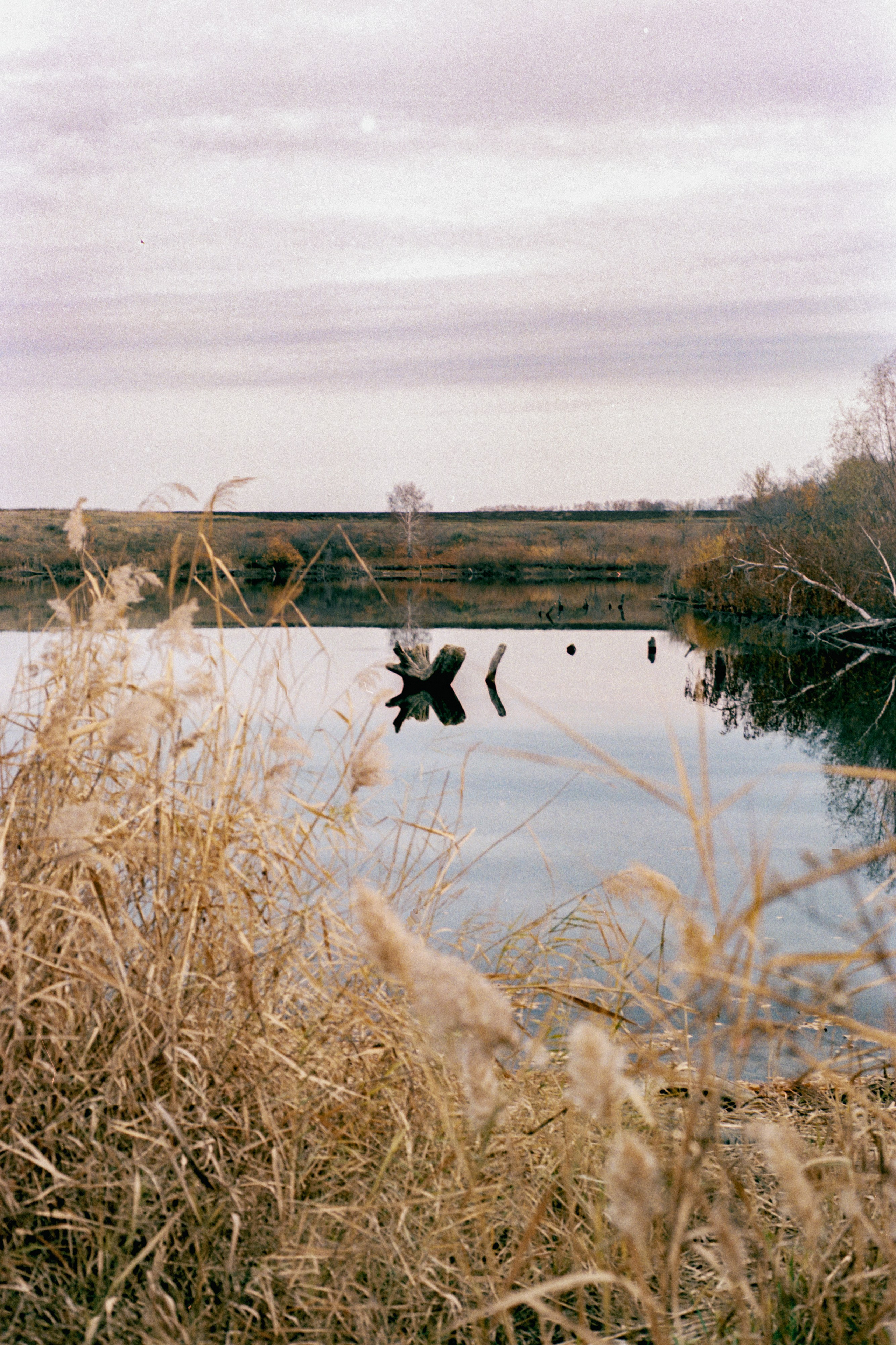 Пленочная история. Дмитрий Пропадалин, Нейрофотография