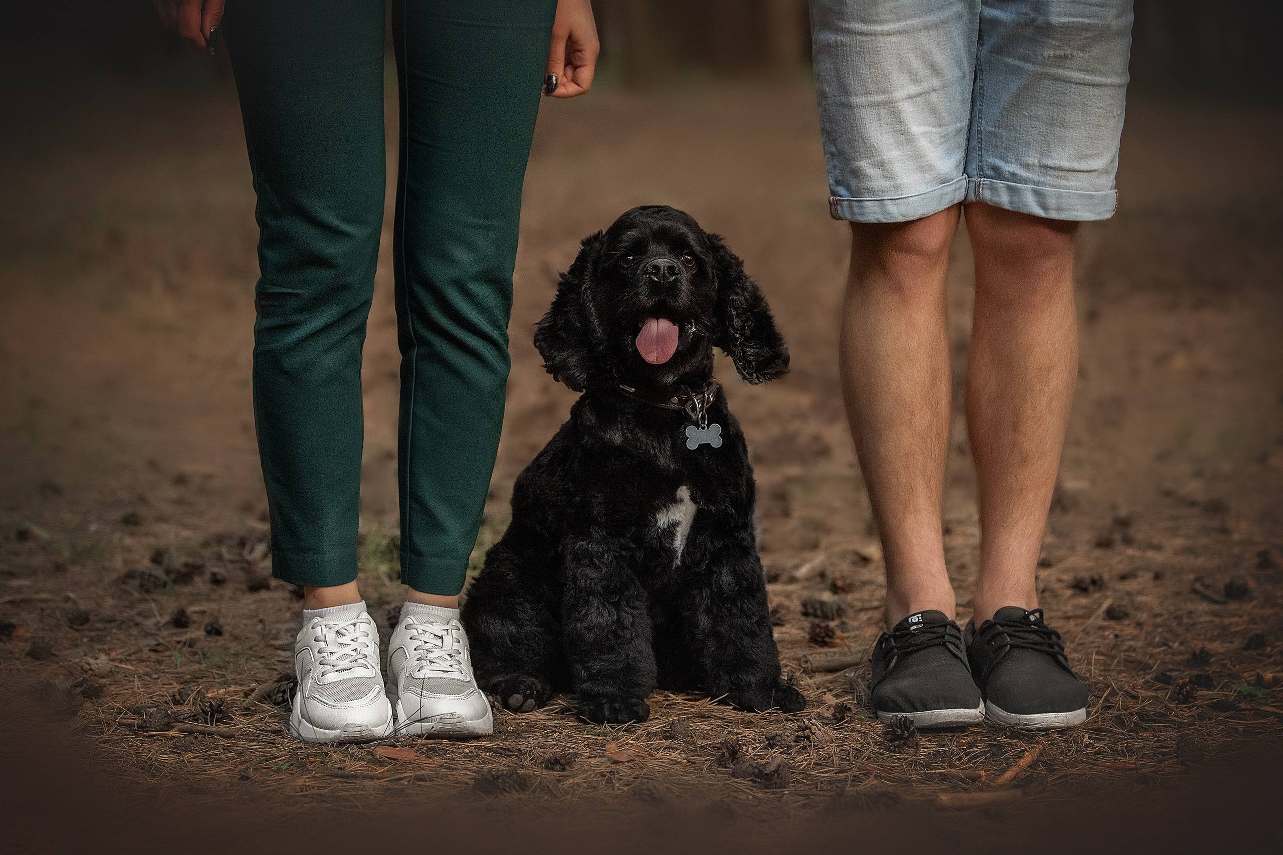 Lovestory Лена и Дима. Женский фотограф в Москве Богдашкина Динара