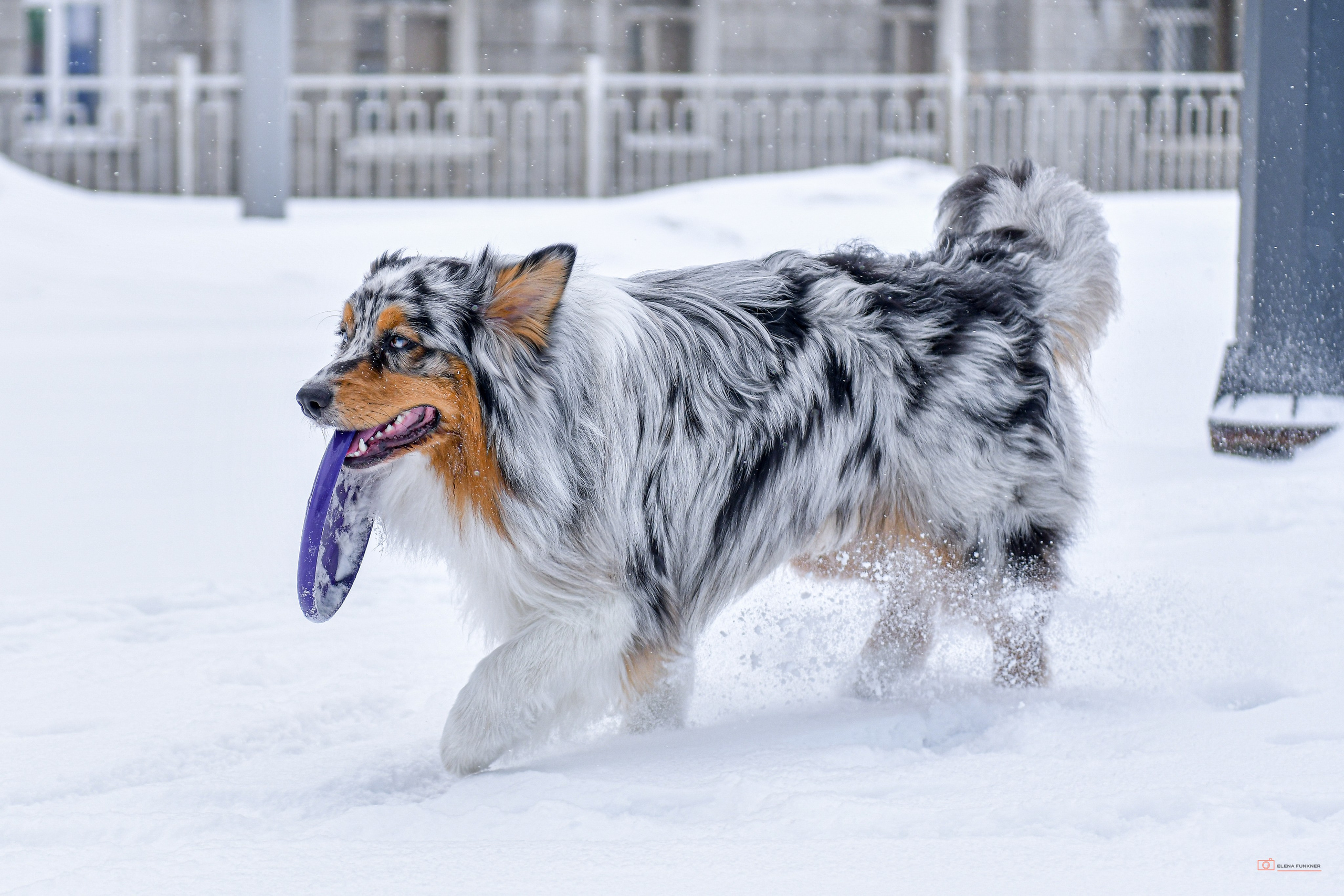 Зима. Свой взгляд через объектив