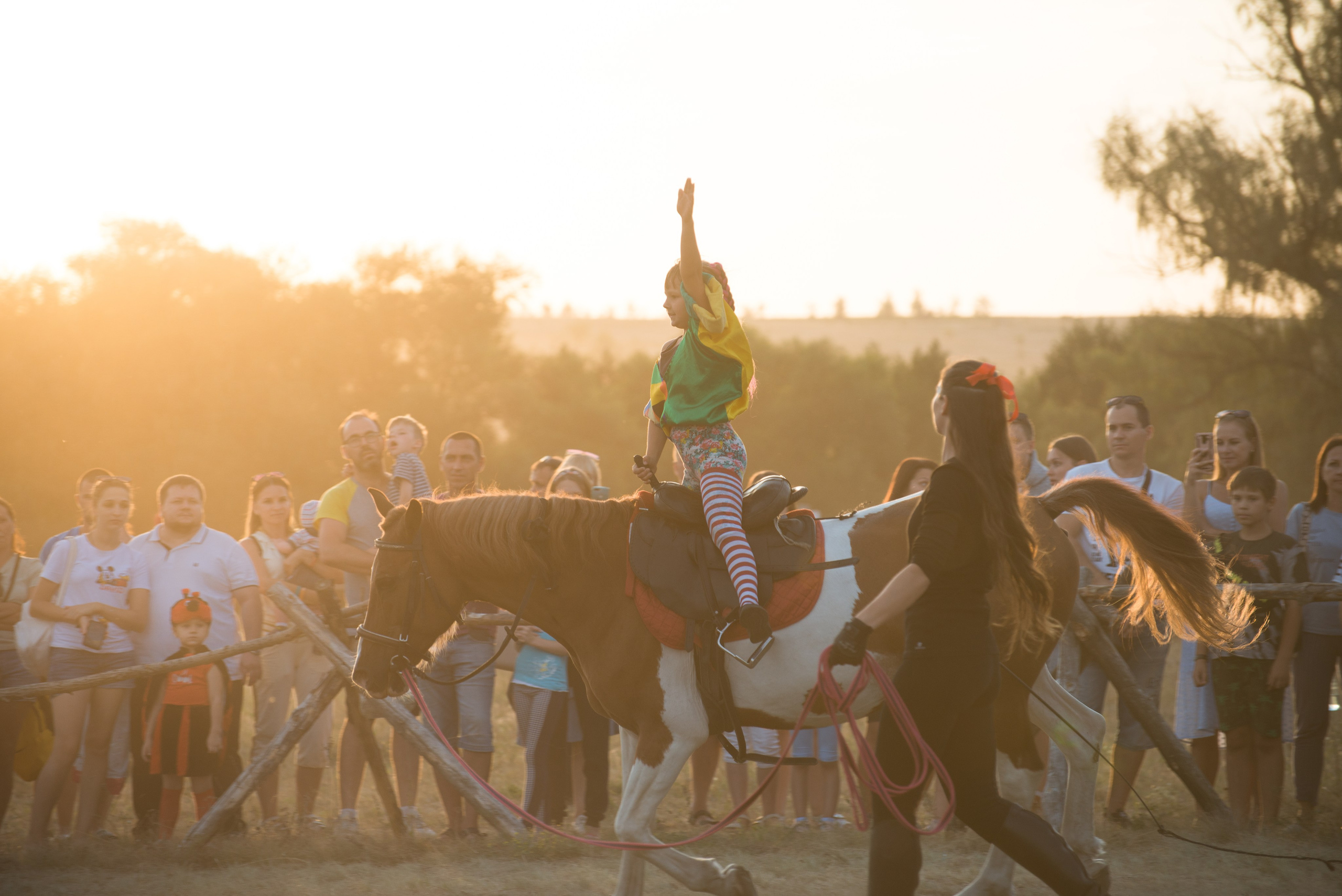 Карнавал Догвинтер. Конный фотограф в Саратове Юлия Иванова