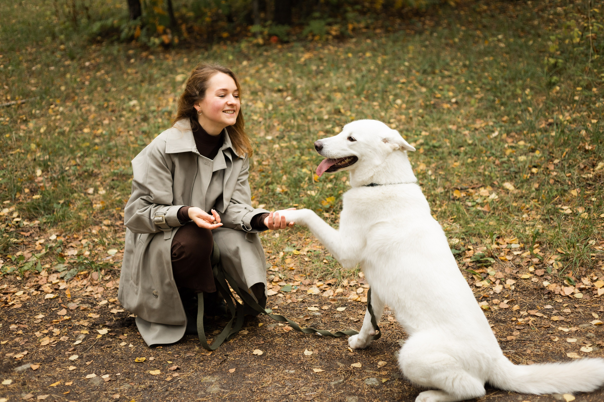 Таня и Зефирка. Фотосессия в парке с собакой. Семейный и детский фотограф в Санкт-Петербурге Павлова Елена