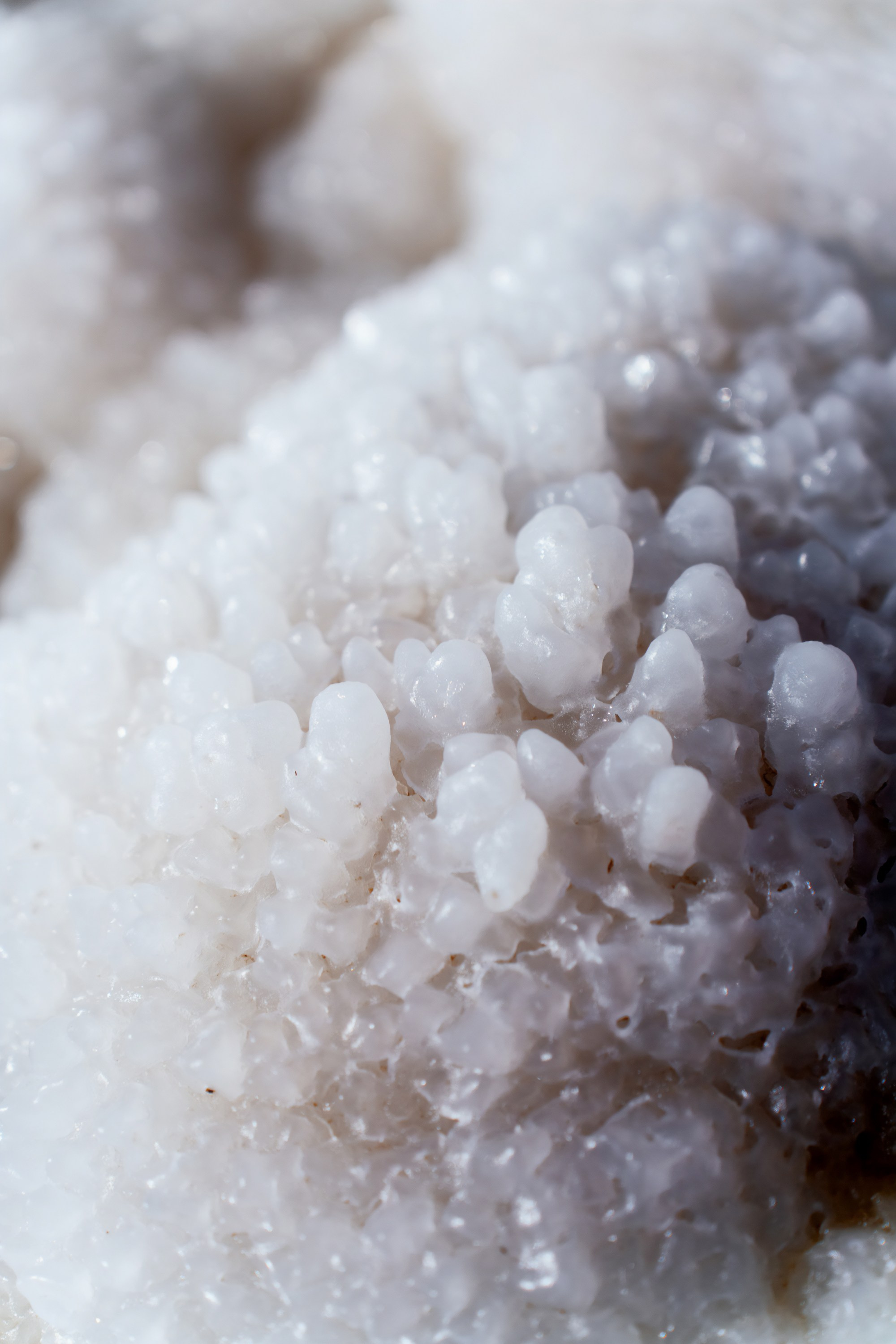 Турция, Греция, Иордания. Фотограф в Хабаровске. Фотография за 24 часа