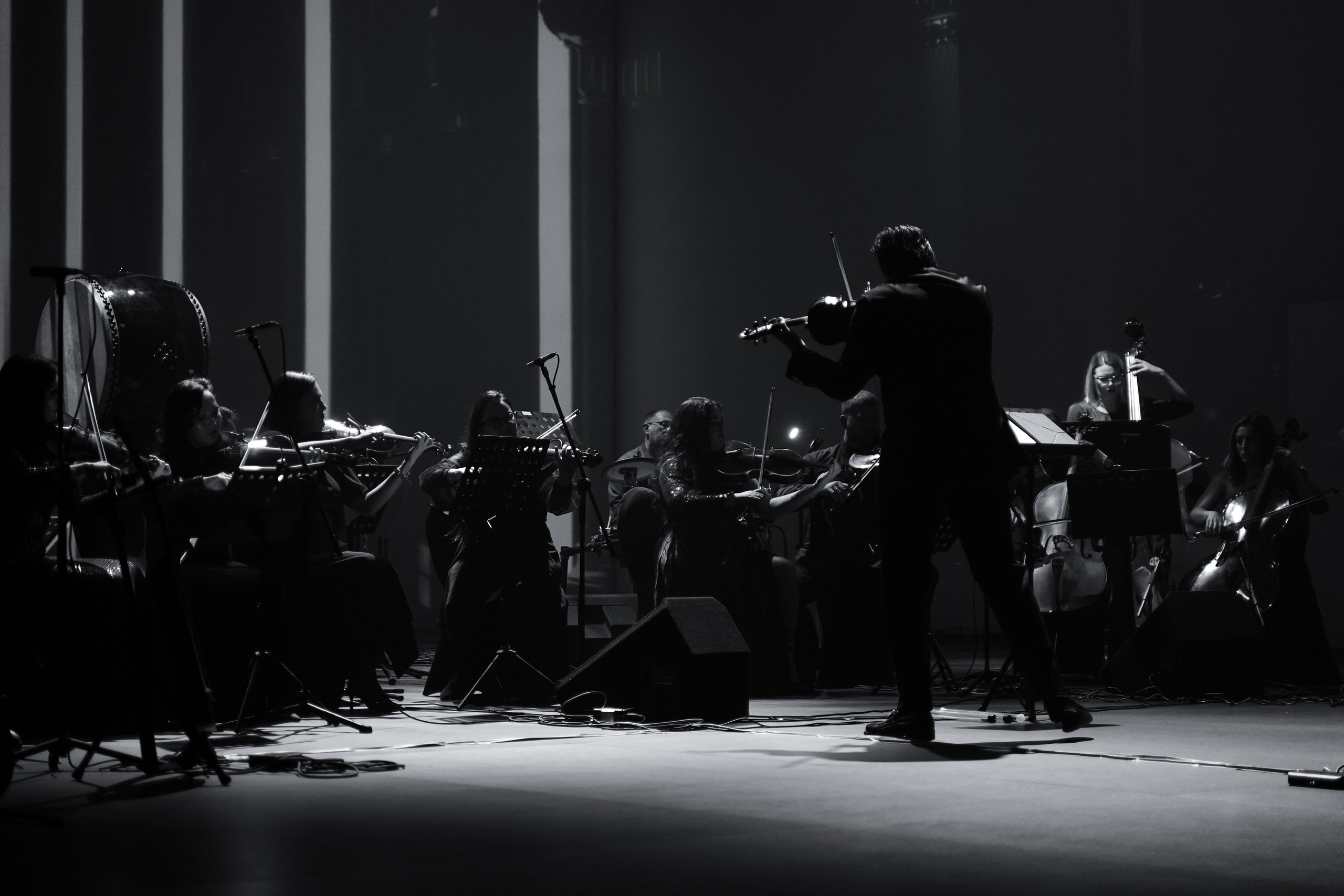 TODA is back. Katyavasileva