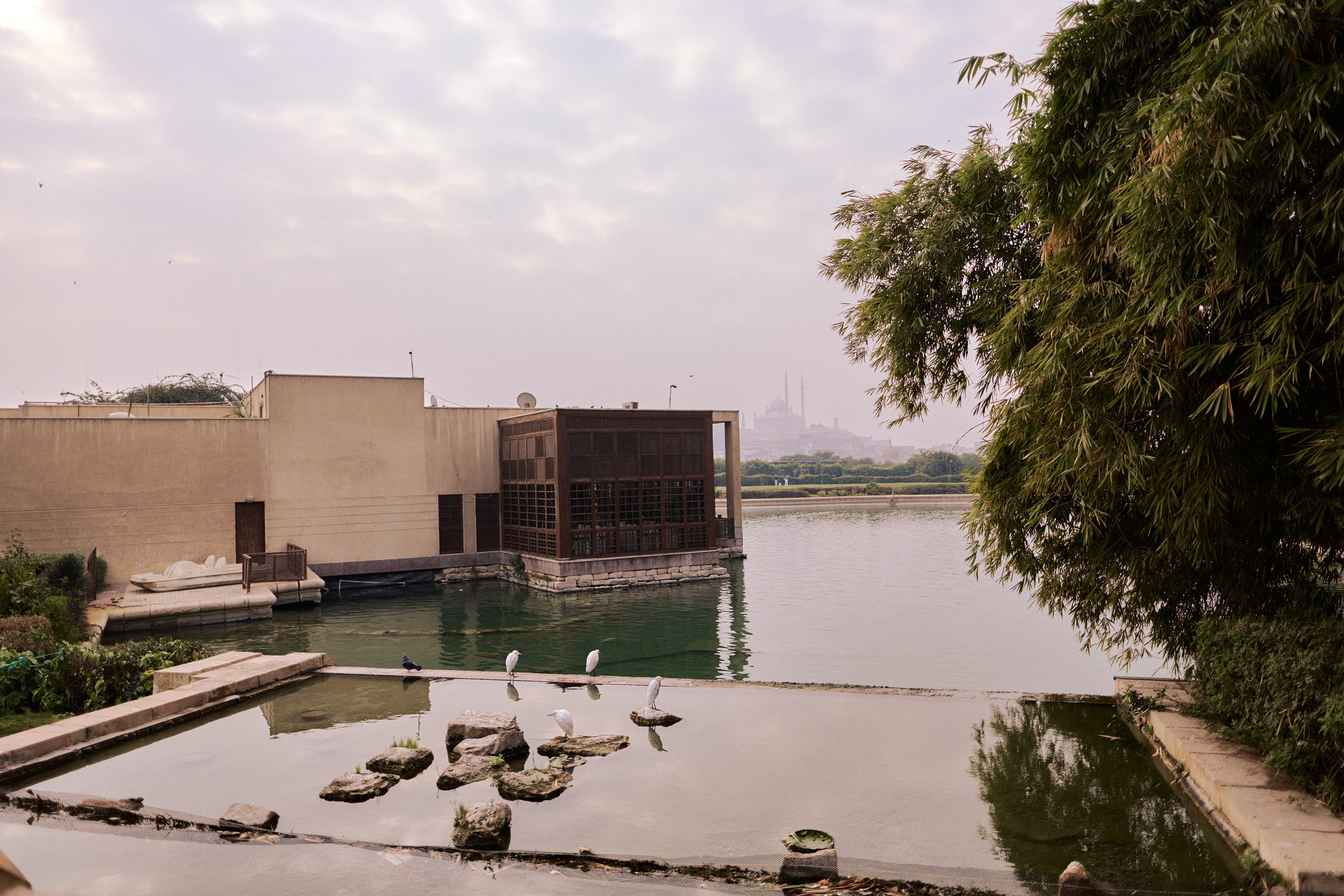 Другое 4. Jorgis — фотограф в Хургаде / обучение фотографии