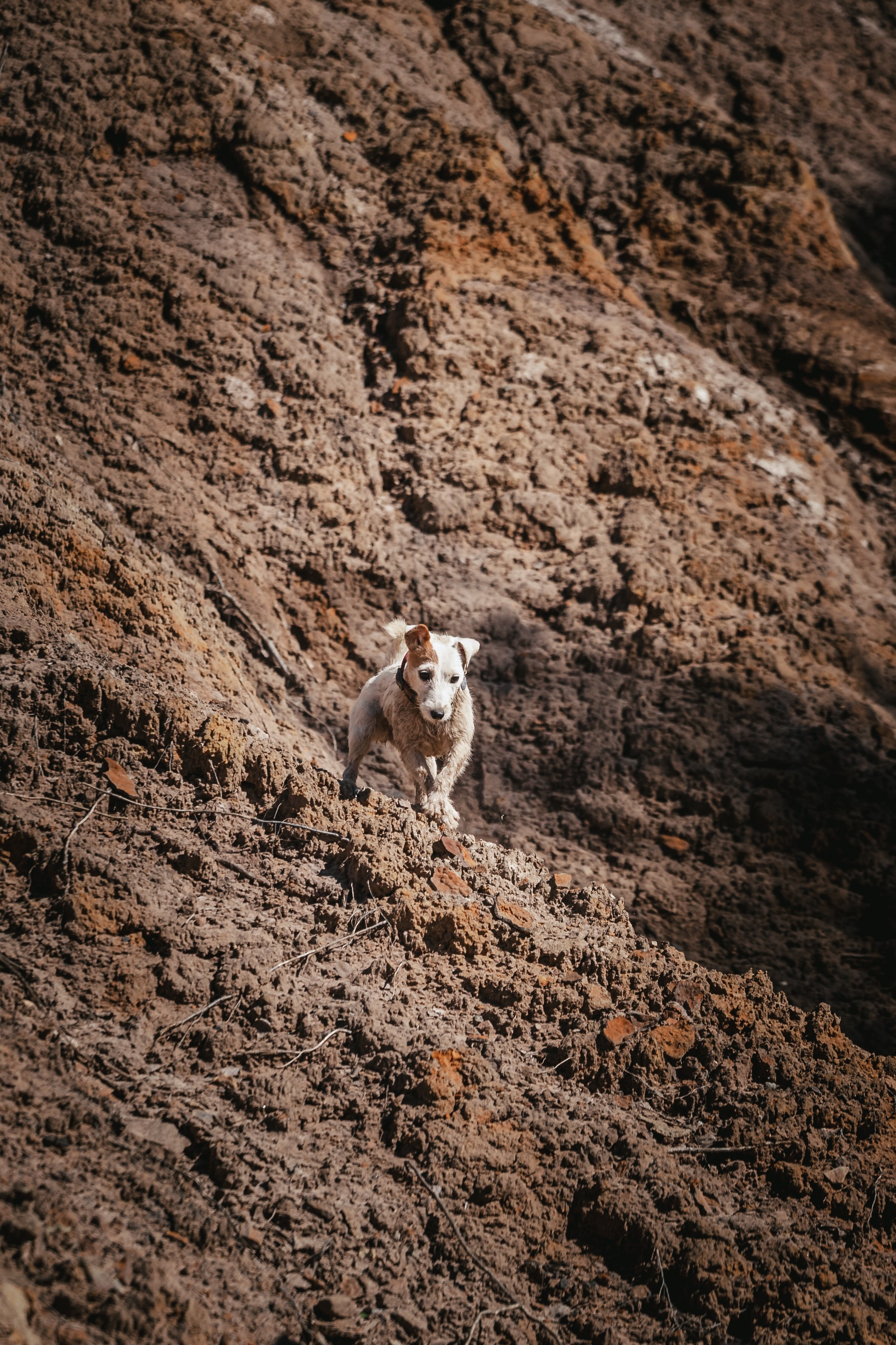 Кондуки. Фотограф-анималист Татьяна Степанова