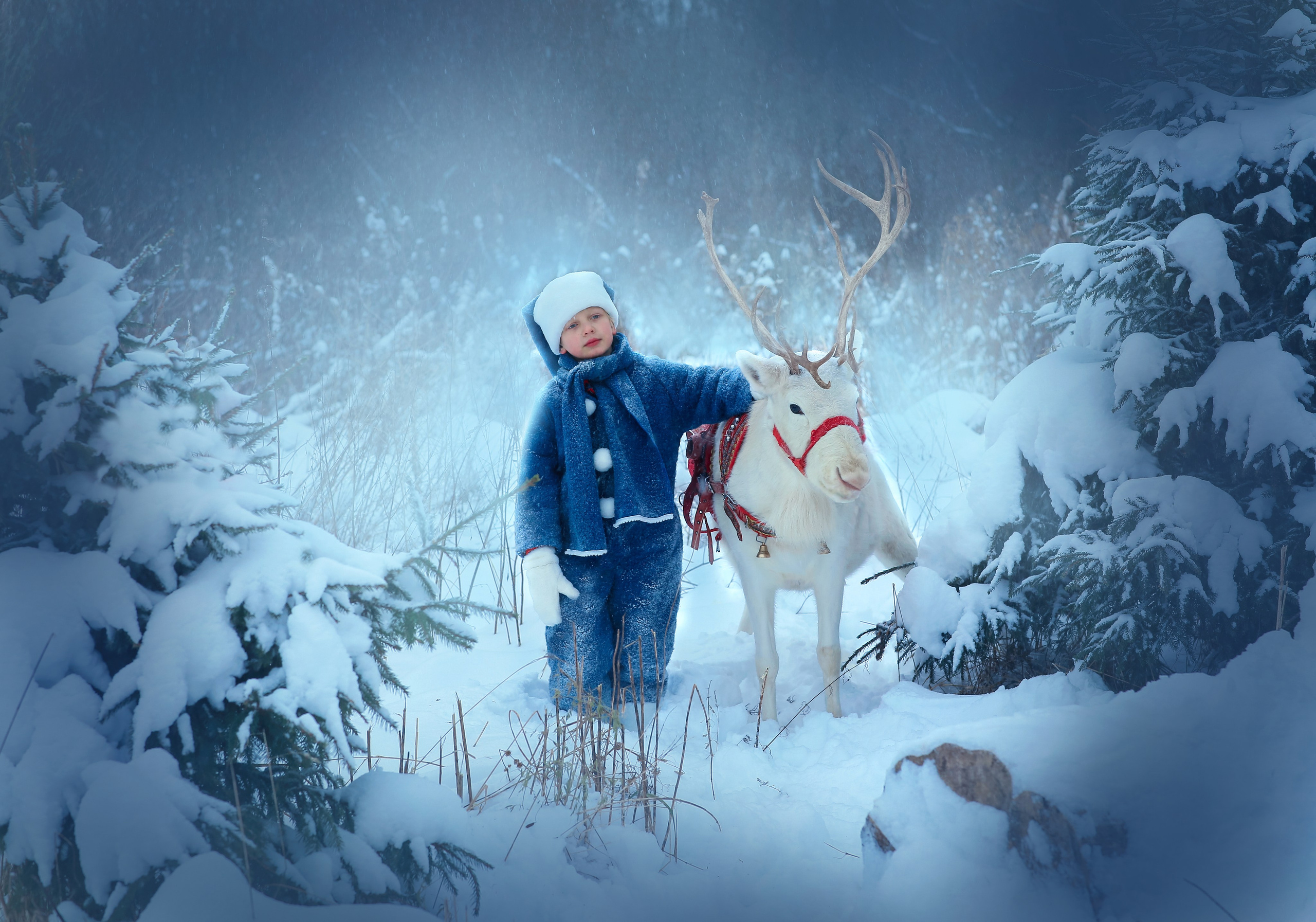 Портфолио. Фотохудожник в Санкт-Петербурге Ольга Клипина