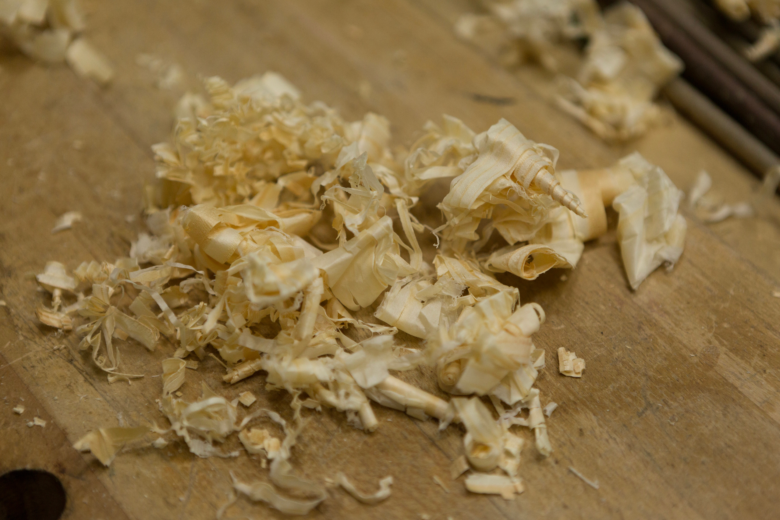 День города в Добродее