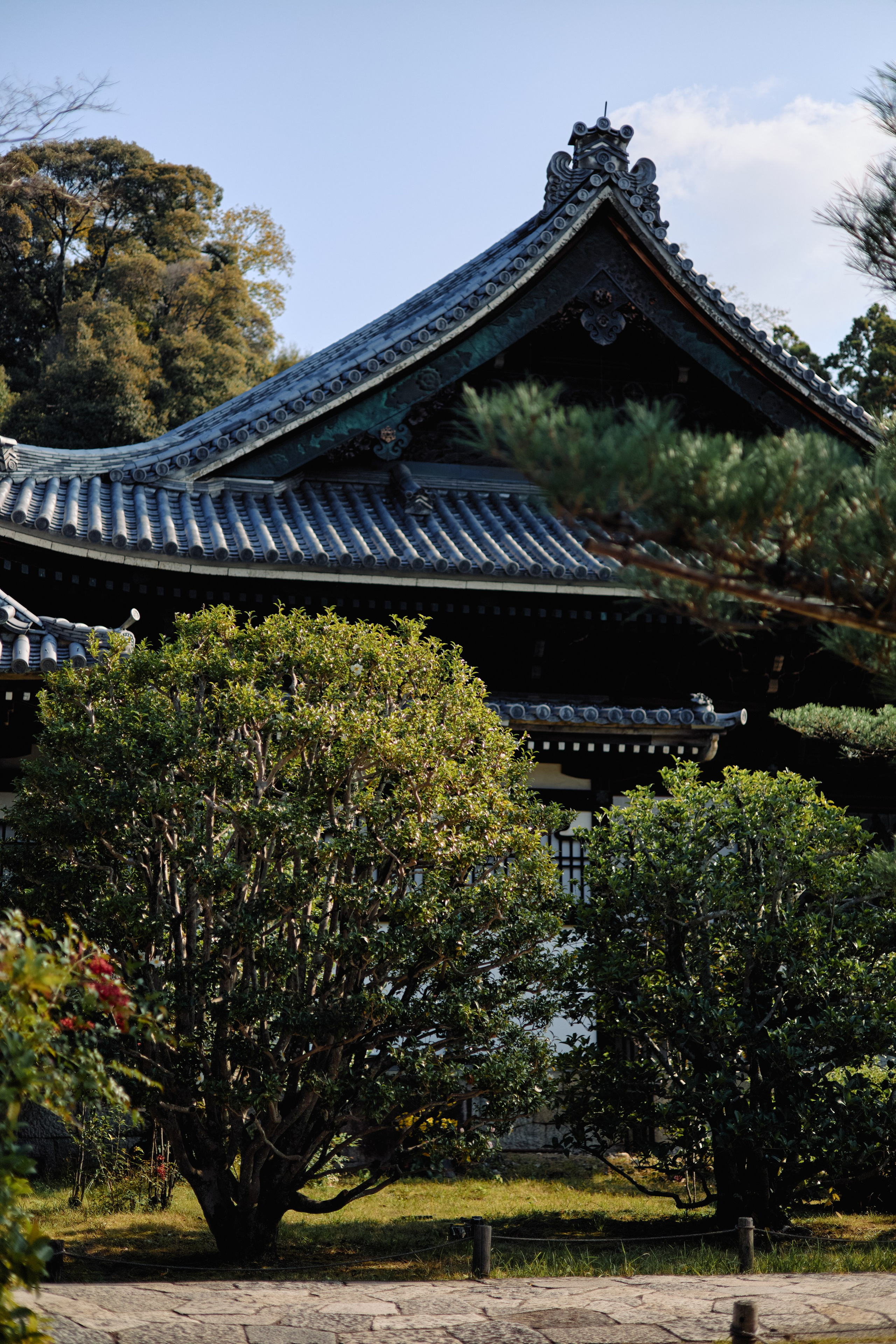 Япония. Профессиональный Фотограф во Владимире, в Москве и в Суздале — Полина Романычева