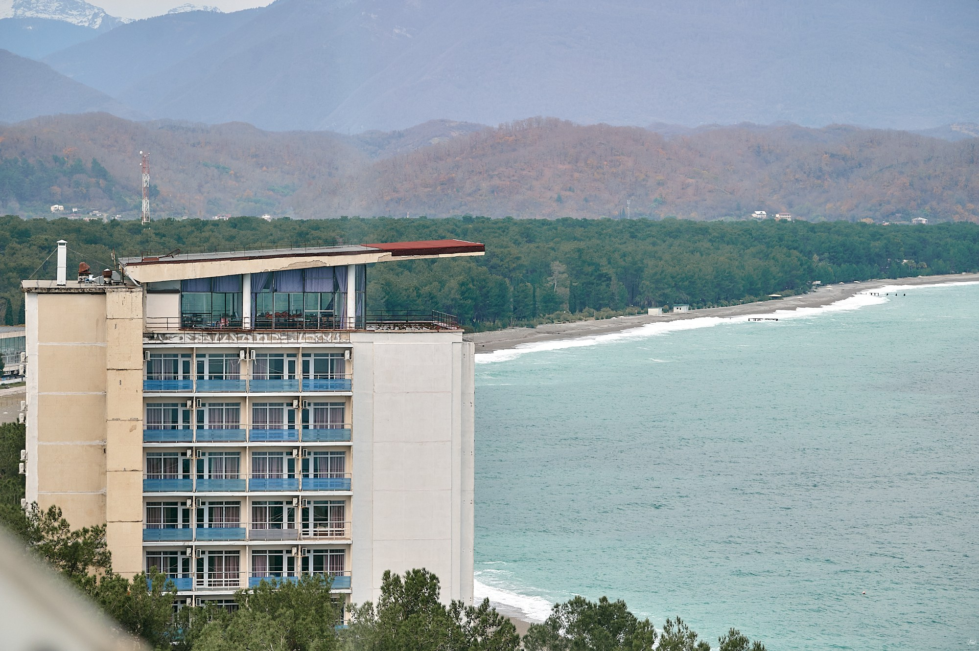 Пицунда, Абхазия. Декабрь 2024. Фотографии отовсюду и обо всем