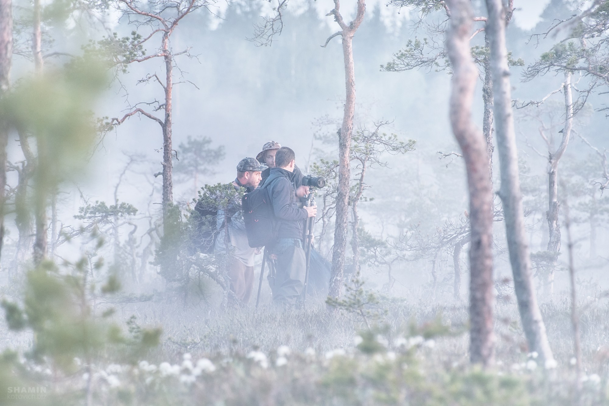 Прогнозирование и съемка туманов. Фотограф Константин Шамин
