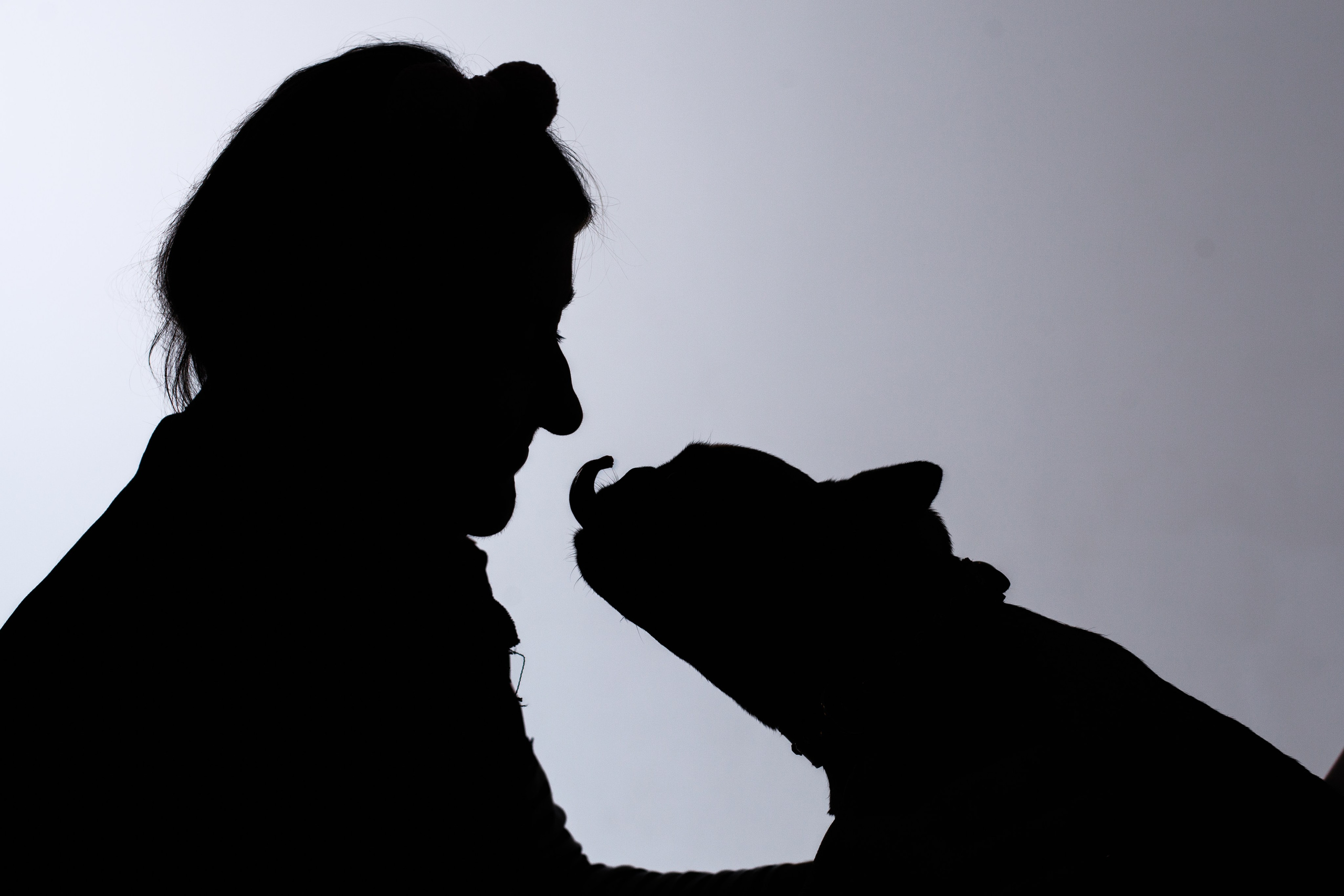 Бульвстреча 2025. Фотограф-анималист Татьяна Степанова