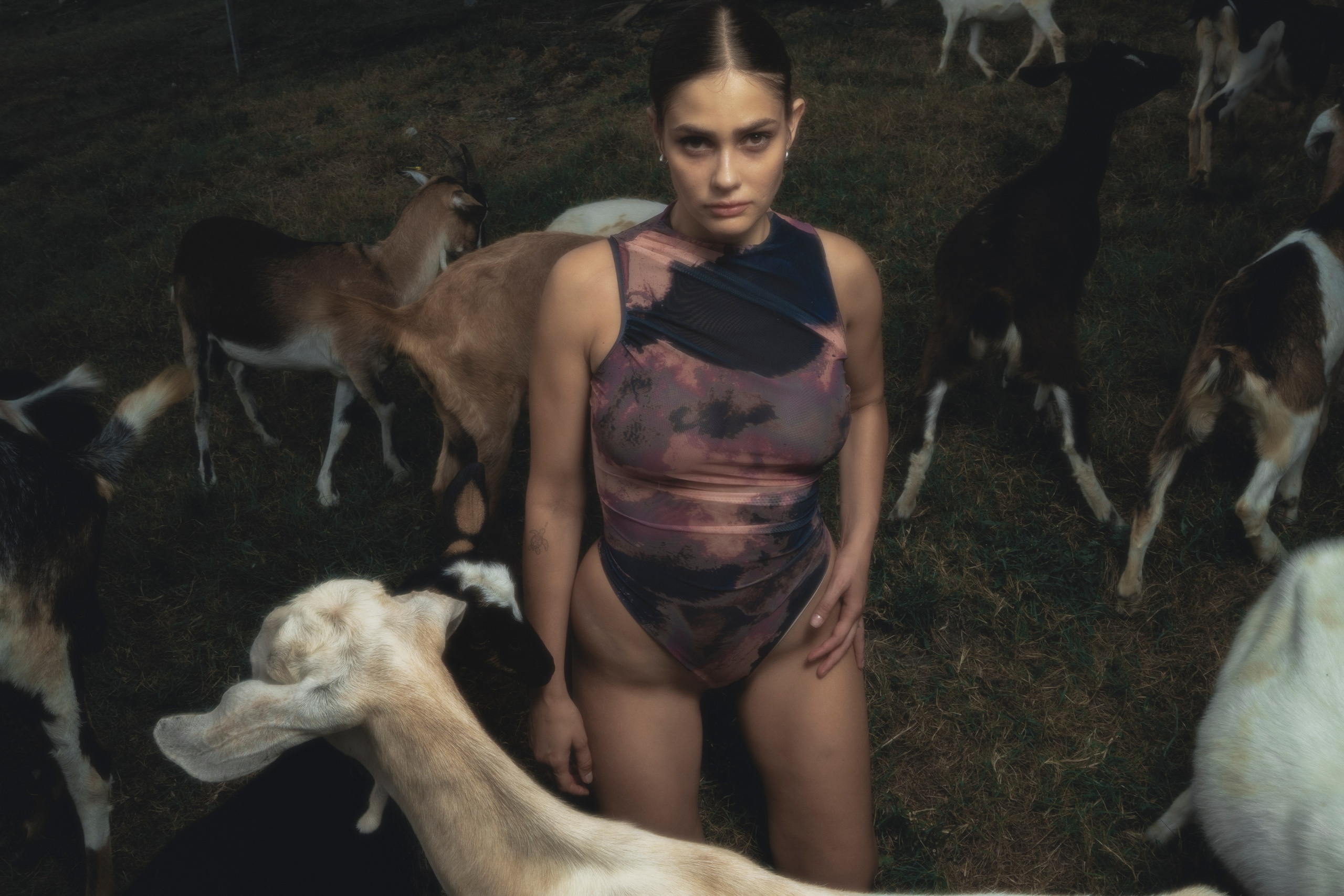 STRANGE FARM. Jorredi