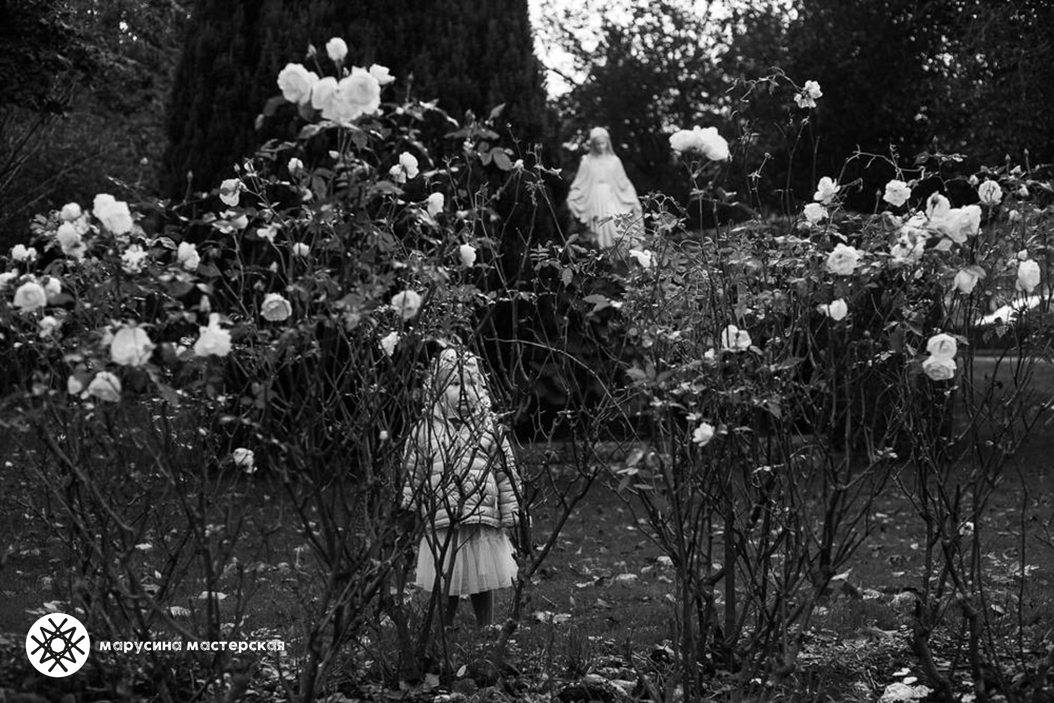 Дарья Насонова