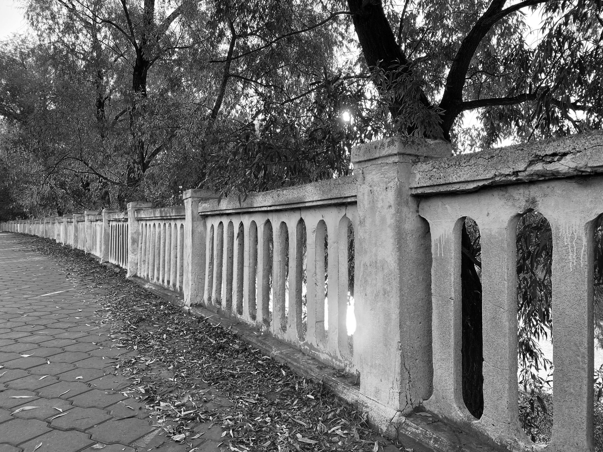 Уличная фотография