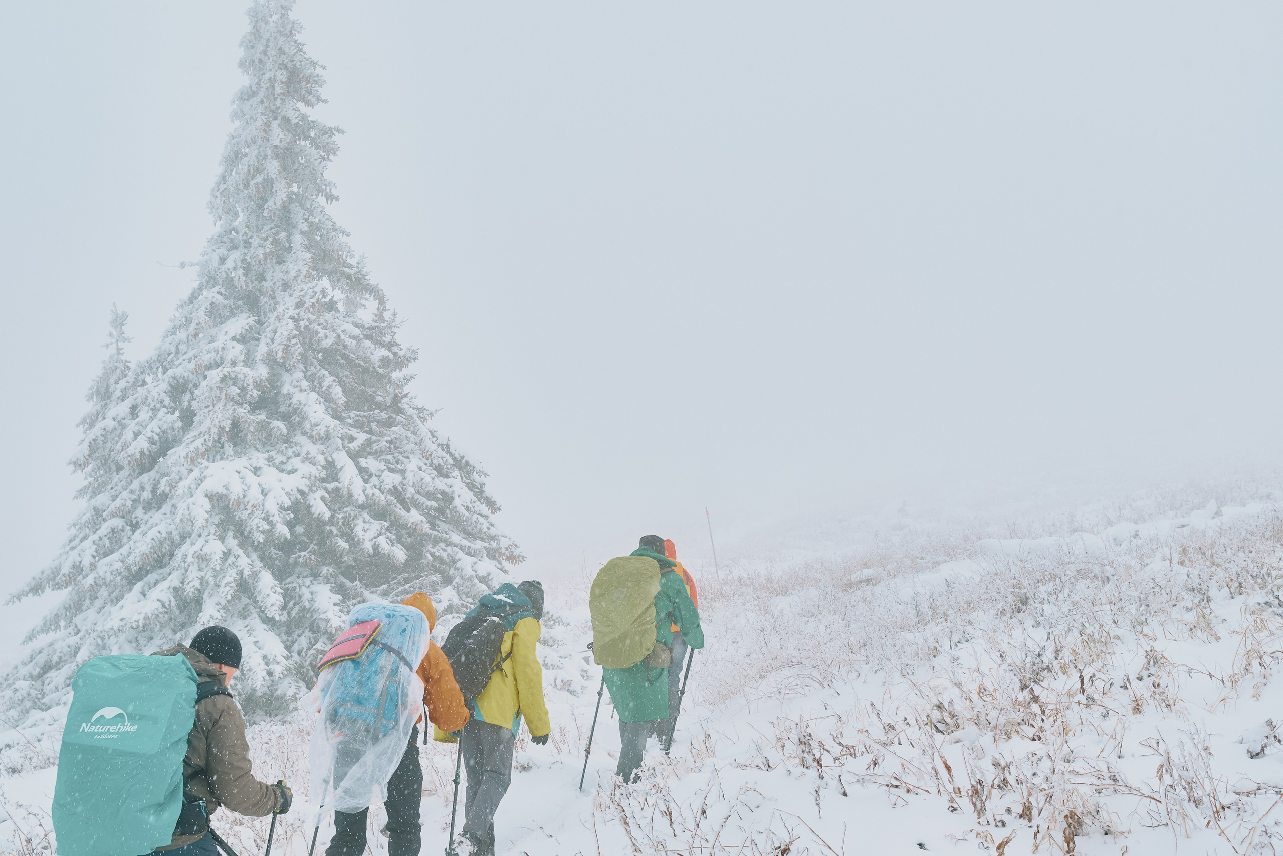 Travel. Фотограф в Челябинске — Дмитрий Носов