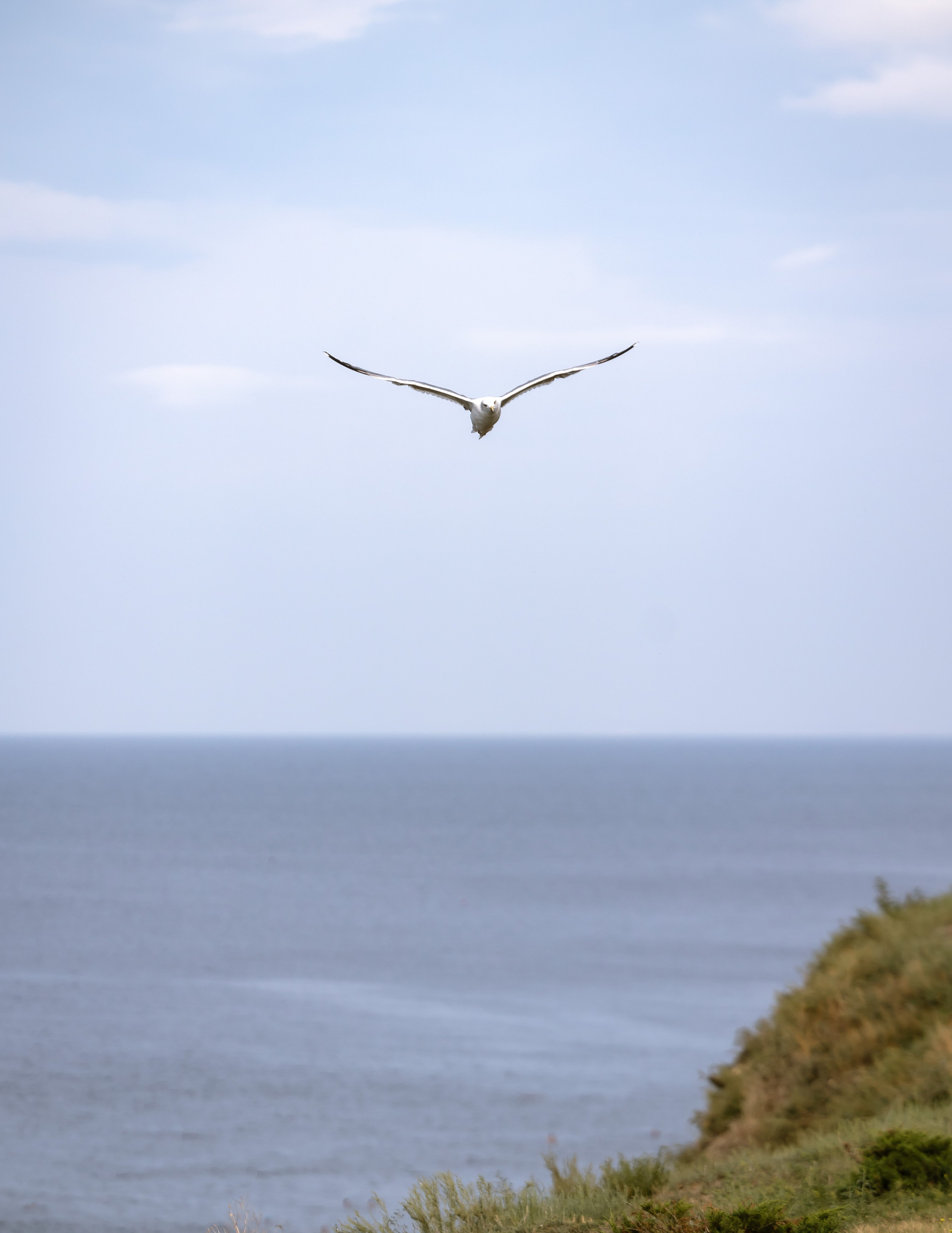 Анапа. Фотограф Владимир Охрименко