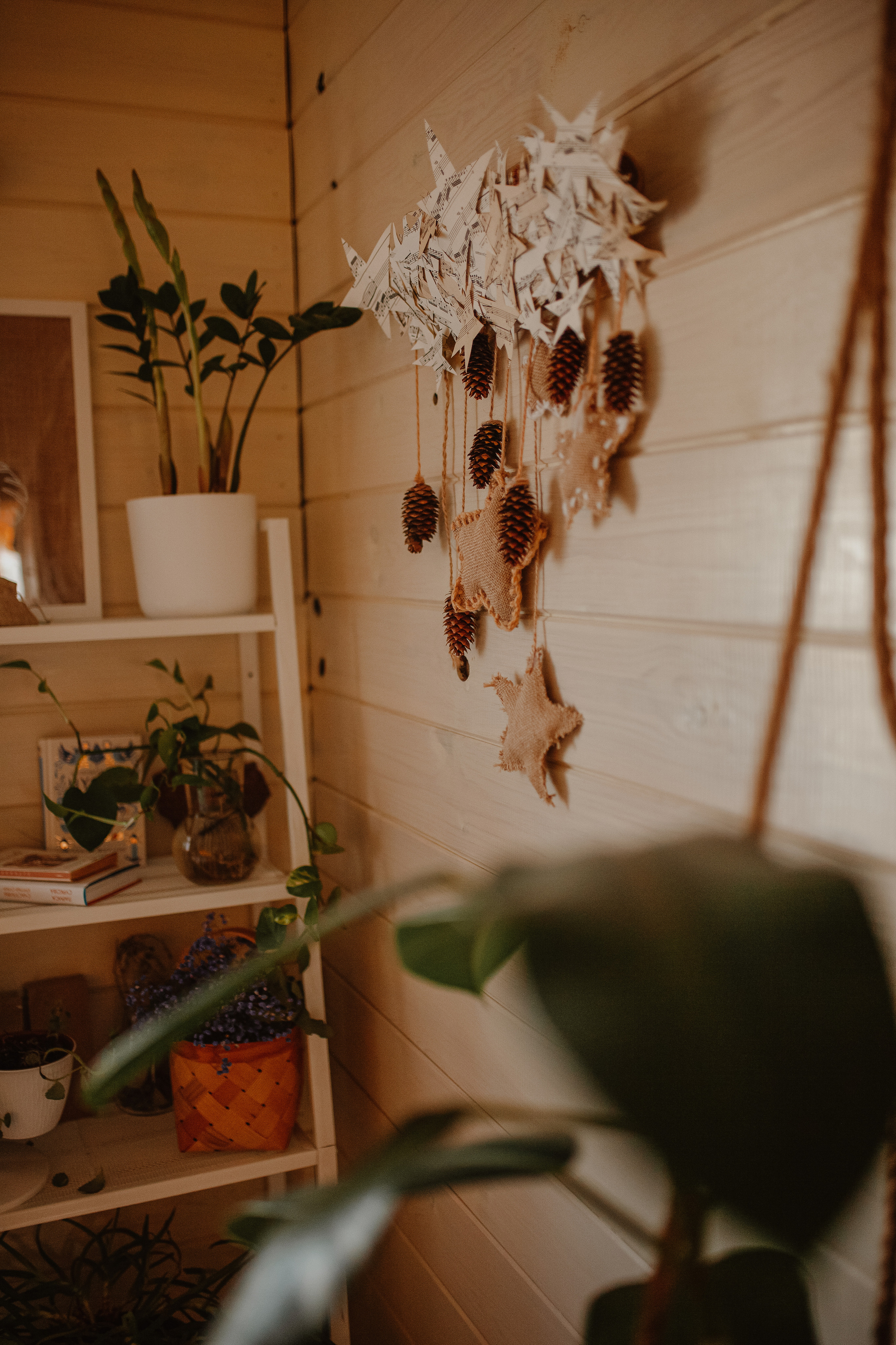 Рождественские каникулы в семье Заколодкиных. Главная