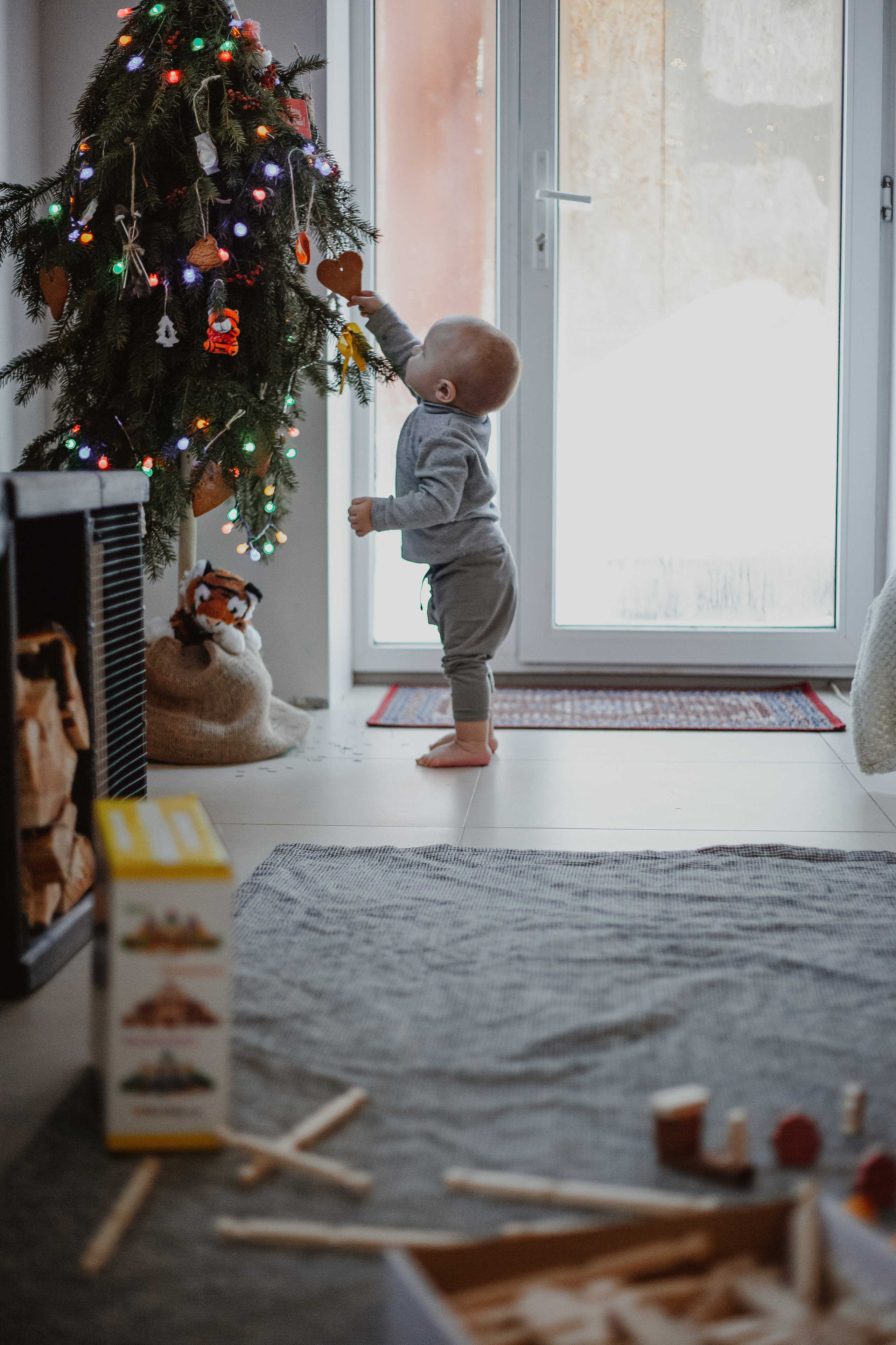 Рождественские каникулы в семье Заколодкиных. Главная