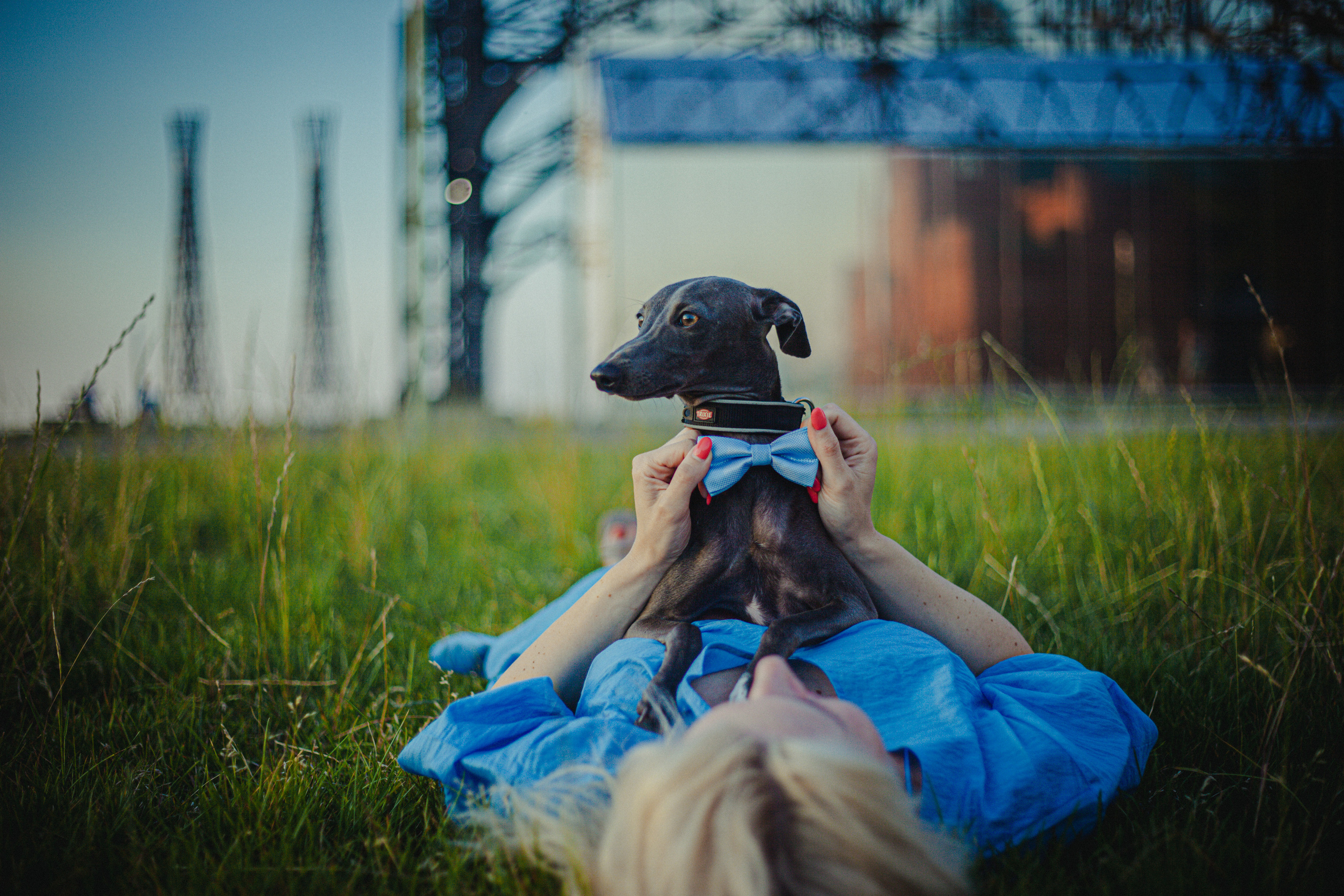 Светлана и Гарри. Главная