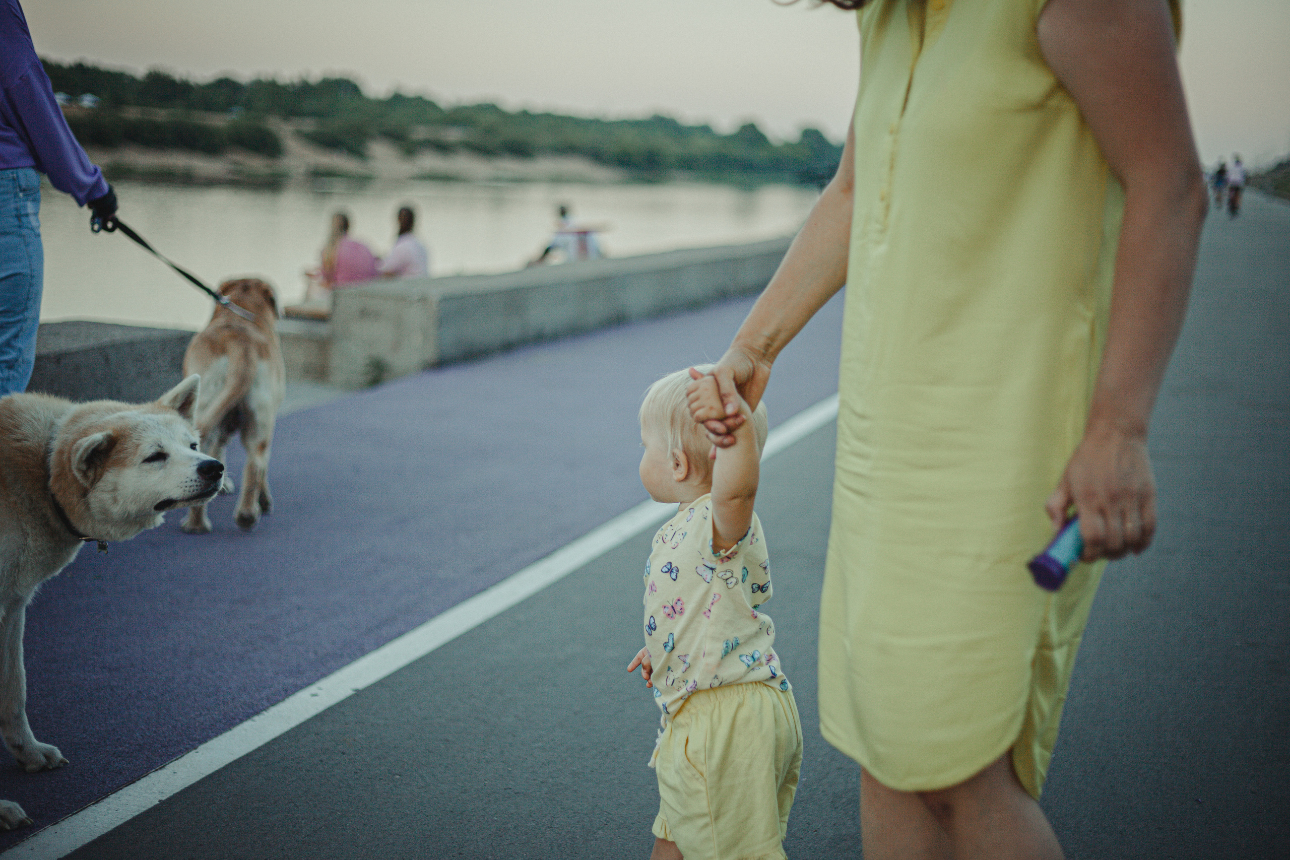 Семья Галкиных на Гребном канале. Главная