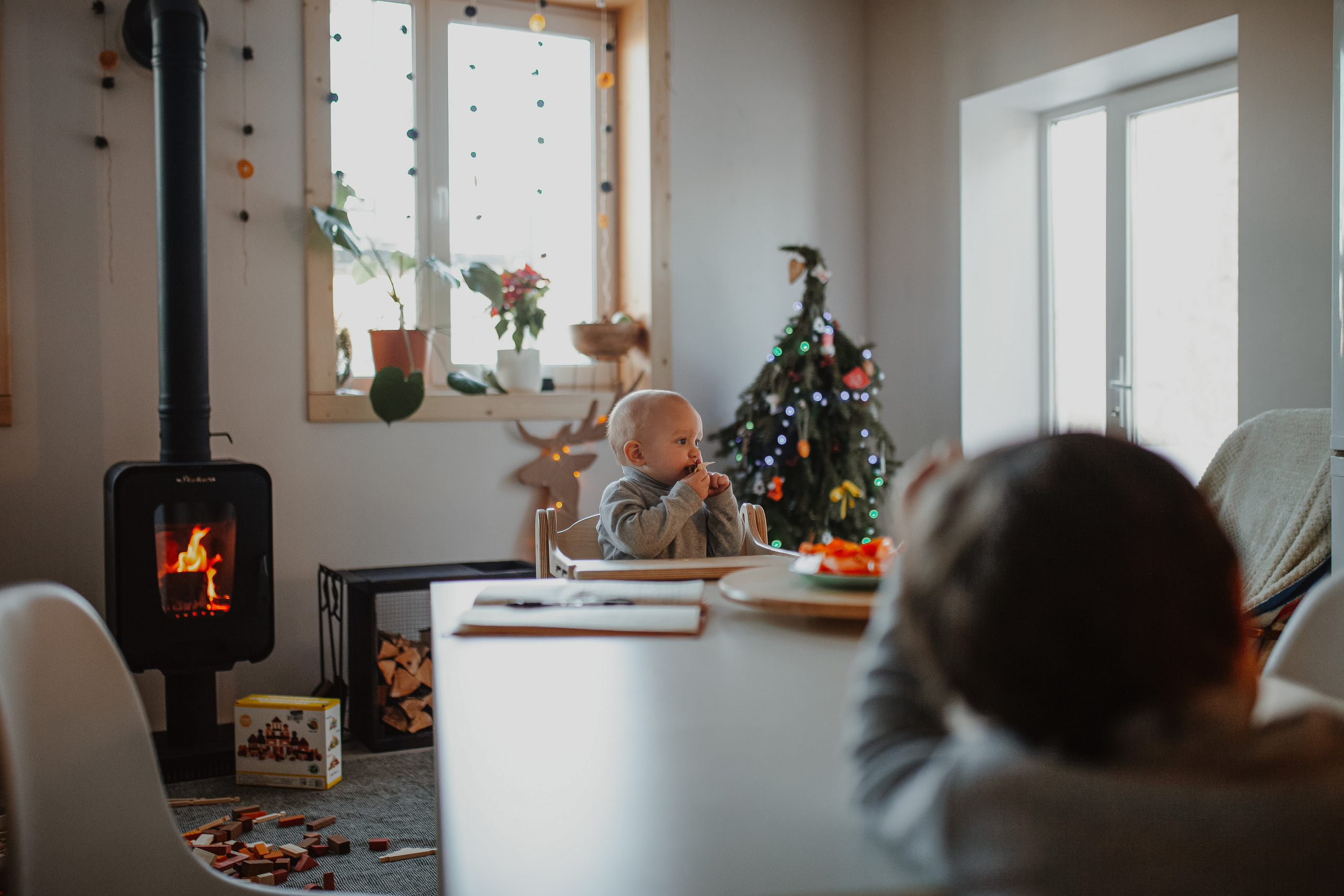 Рождественские каникулы в семье Заколодкиных. Главная