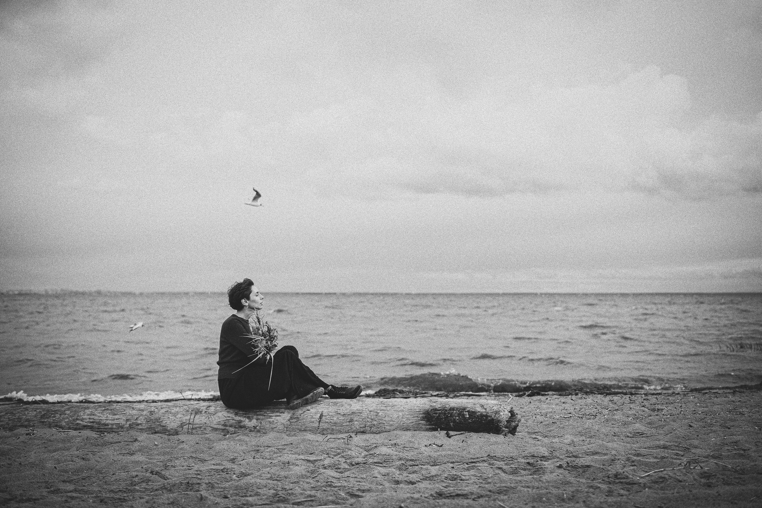 Екатерина на Финском заливе. Главная