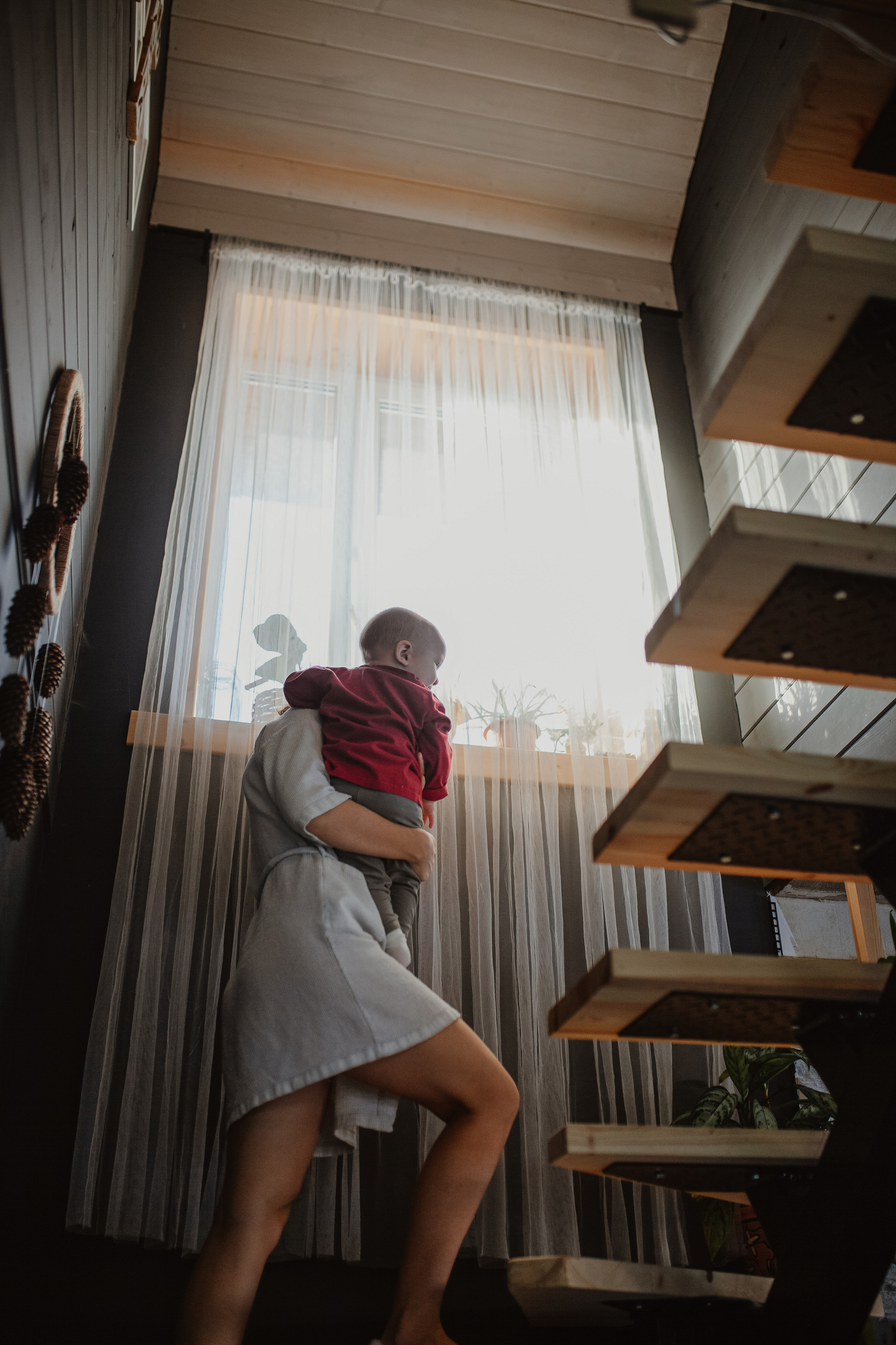 Рождественские каникулы в семье Заколодкиных. Главная