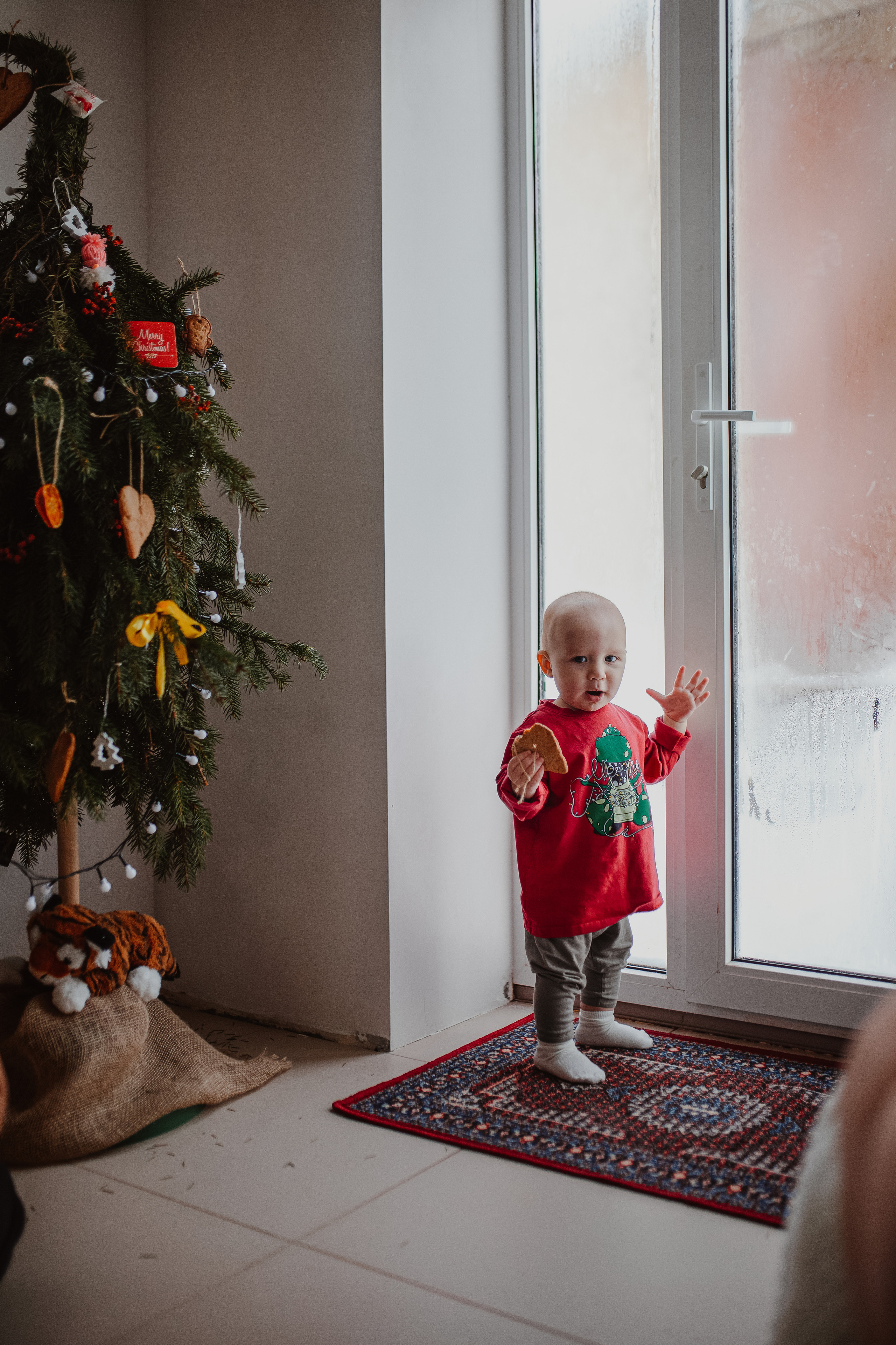 Рождественские каникулы в семье Заколодкиных. Главная