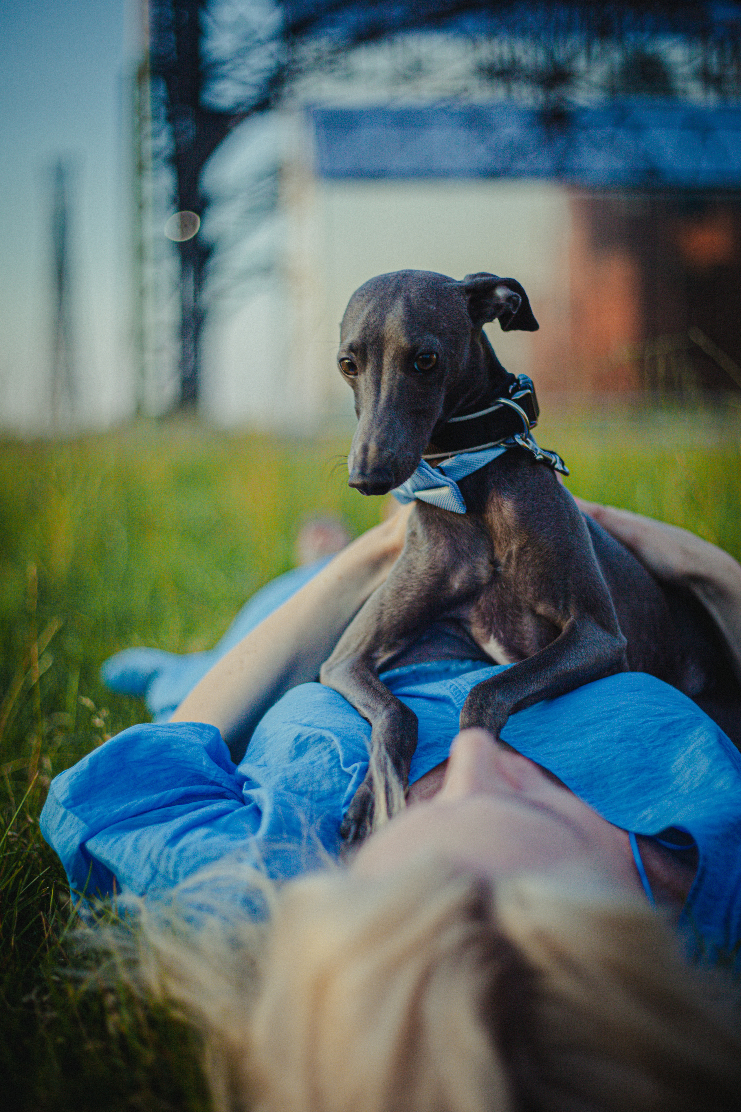 Светлана и Гарри. Главная