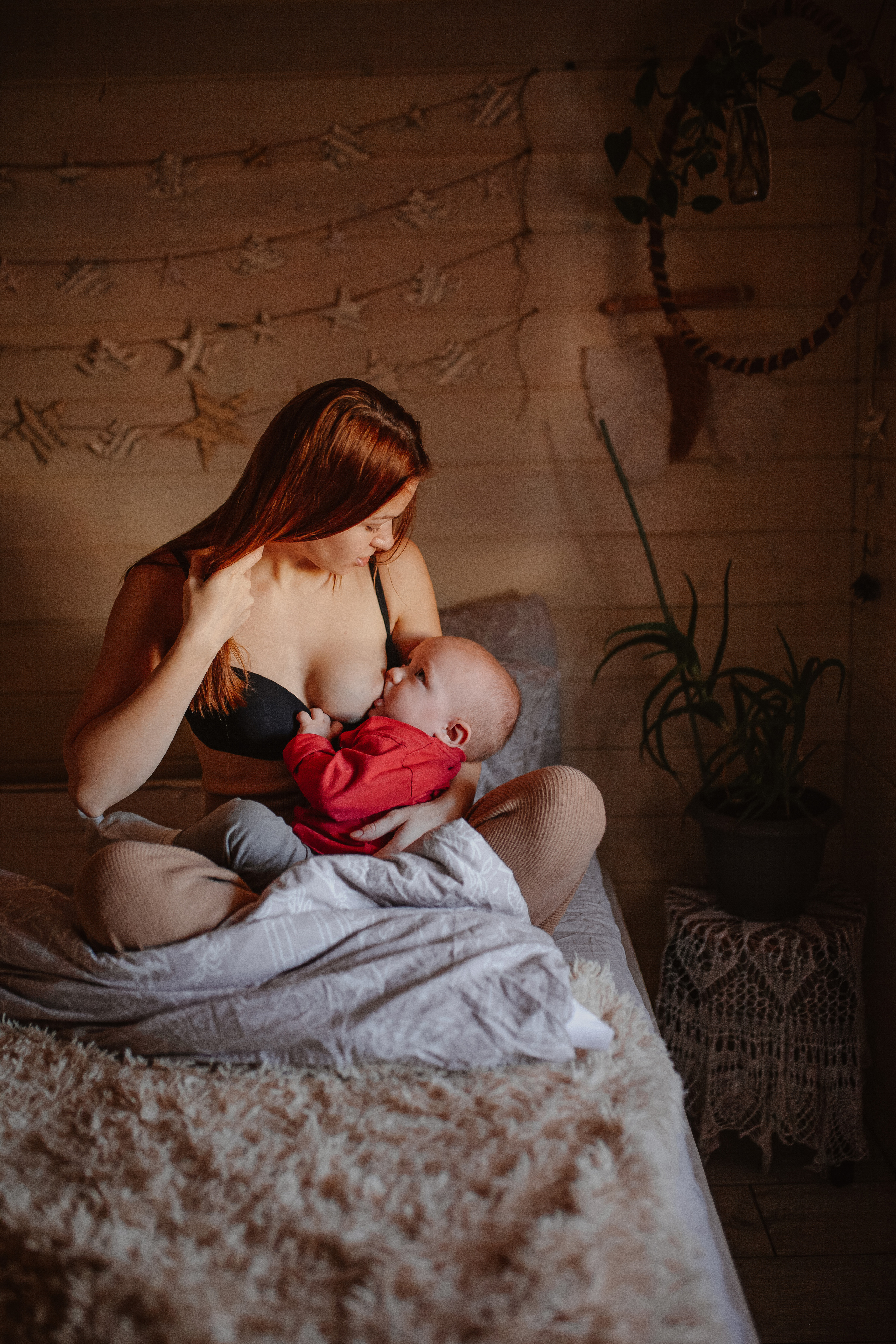 Рождественские каникулы в семье Заколодкиных. Главная