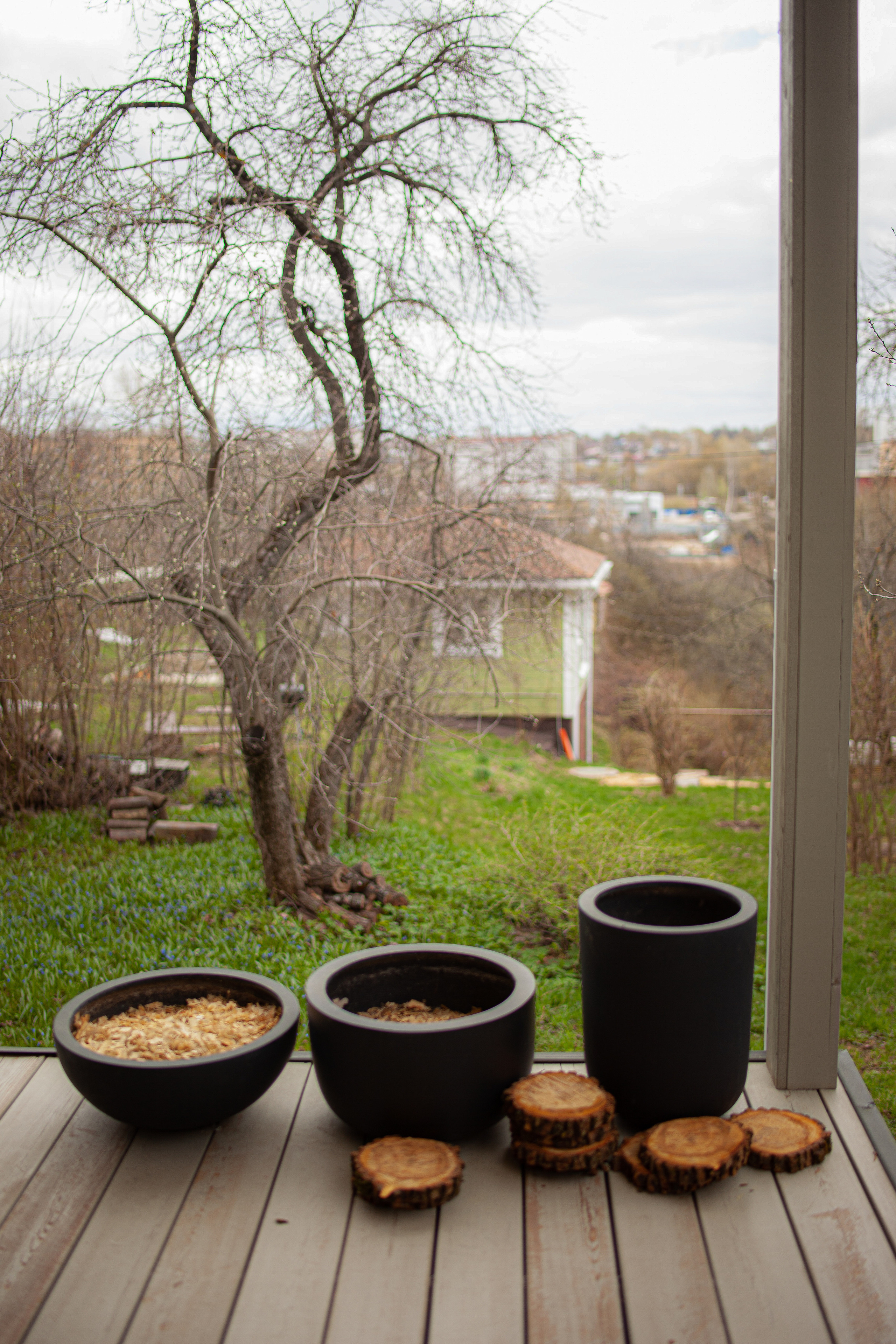 МК по сервировке и МК по приготовлению крем-брюлле. Главная