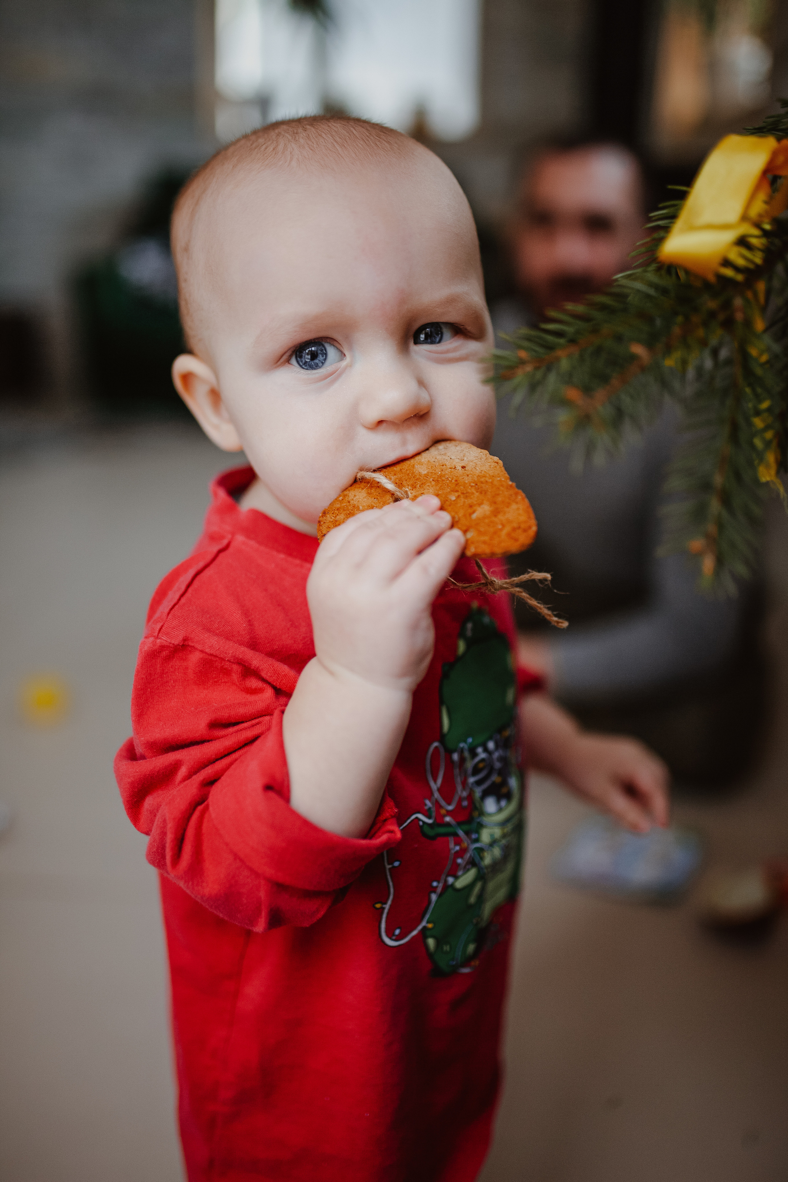 Рождественские каникулы в семье Заколодкиных. Главная
