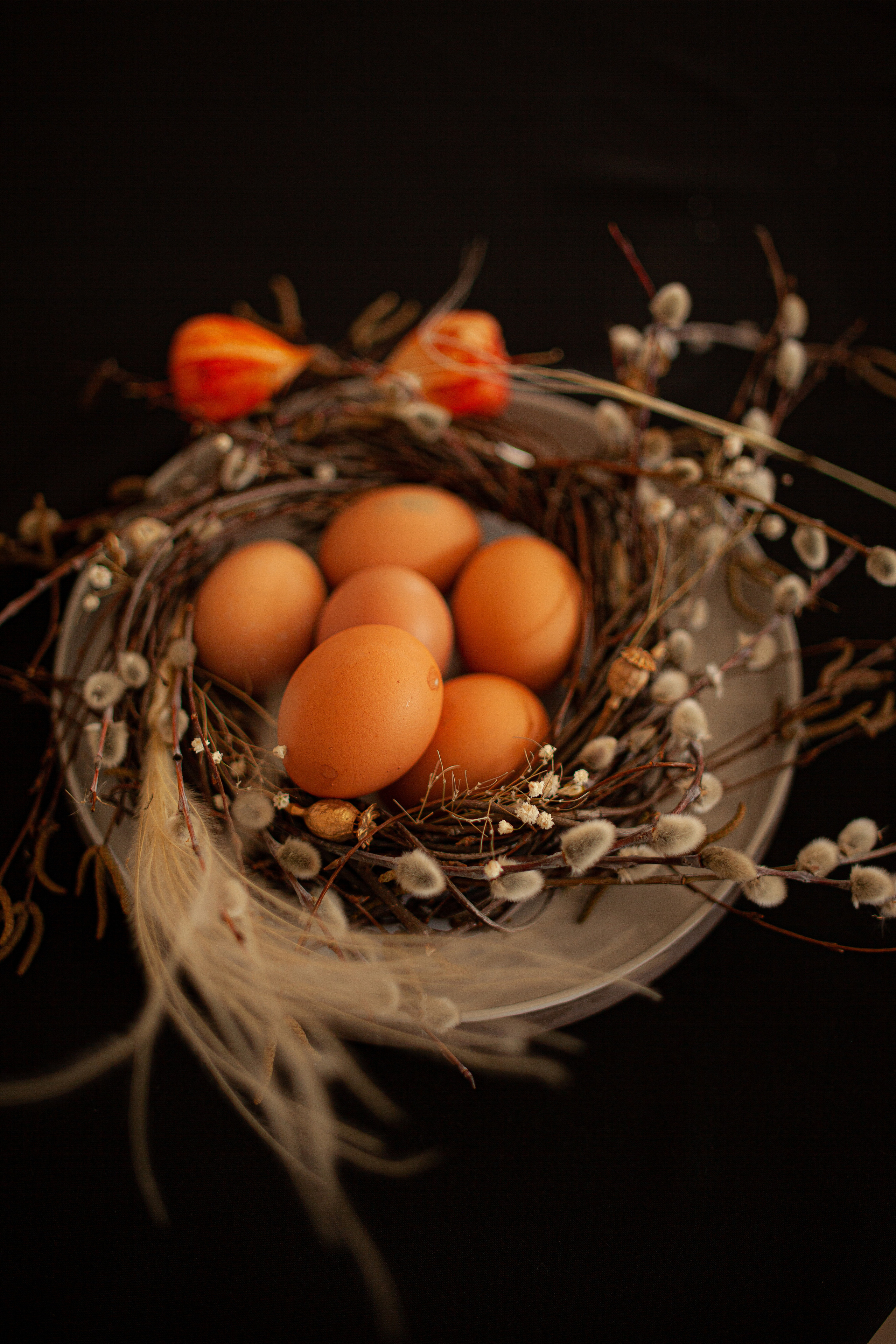 МК по сервировке и МК по приготовлению крем-брюлле. Главная