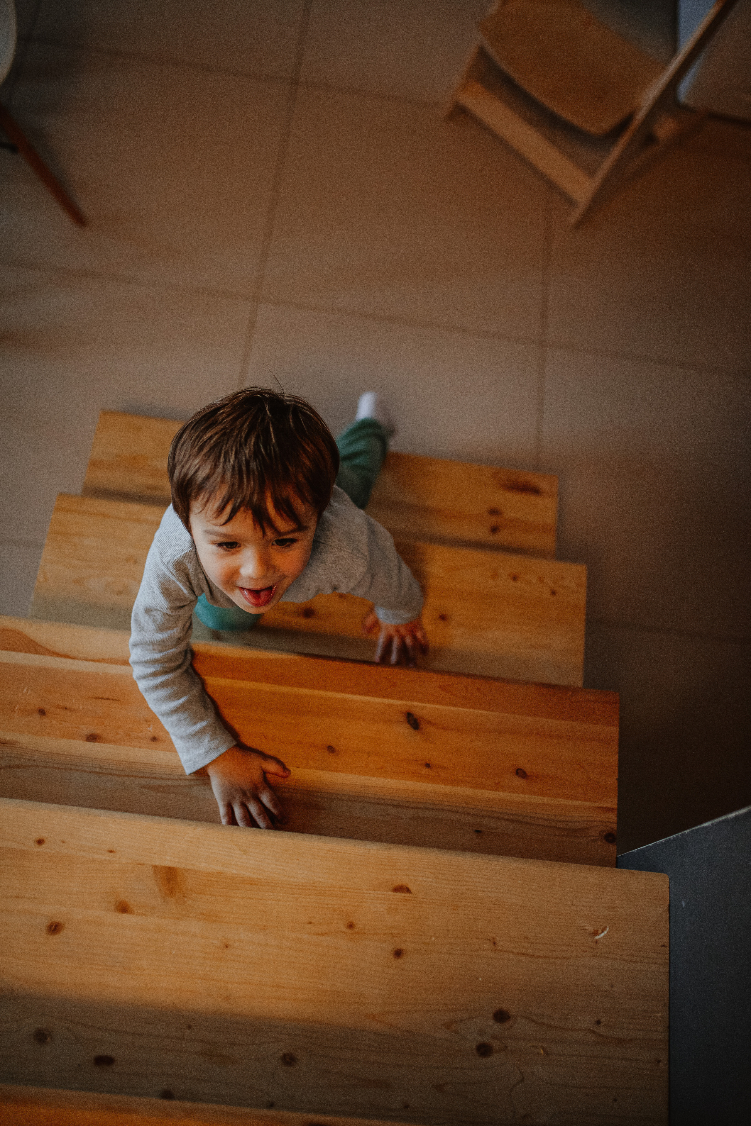 Рождественские каникулы в семье Заколодкиных. Главная