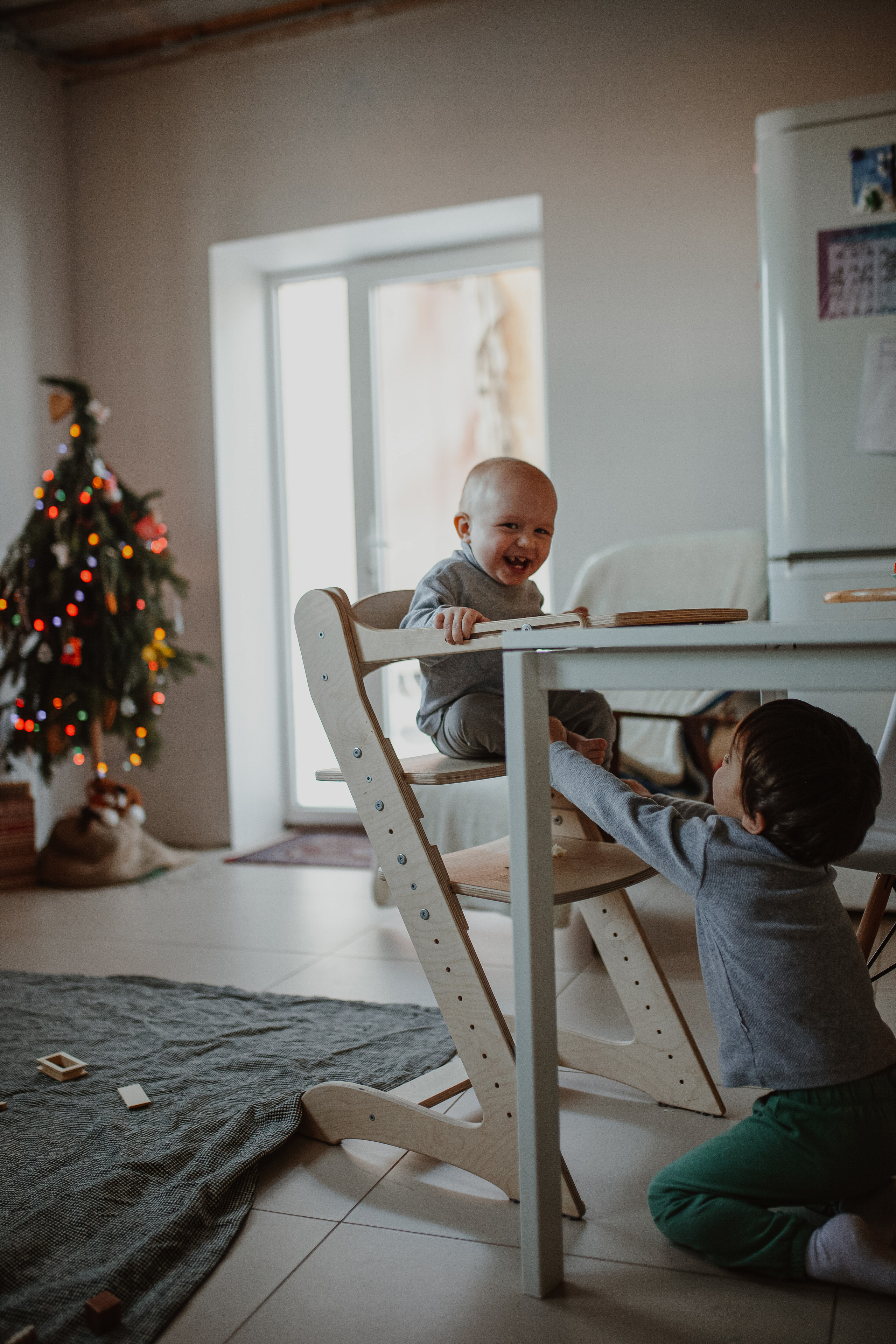 Рождественские каникулы в семье Заколодкиных. Главная