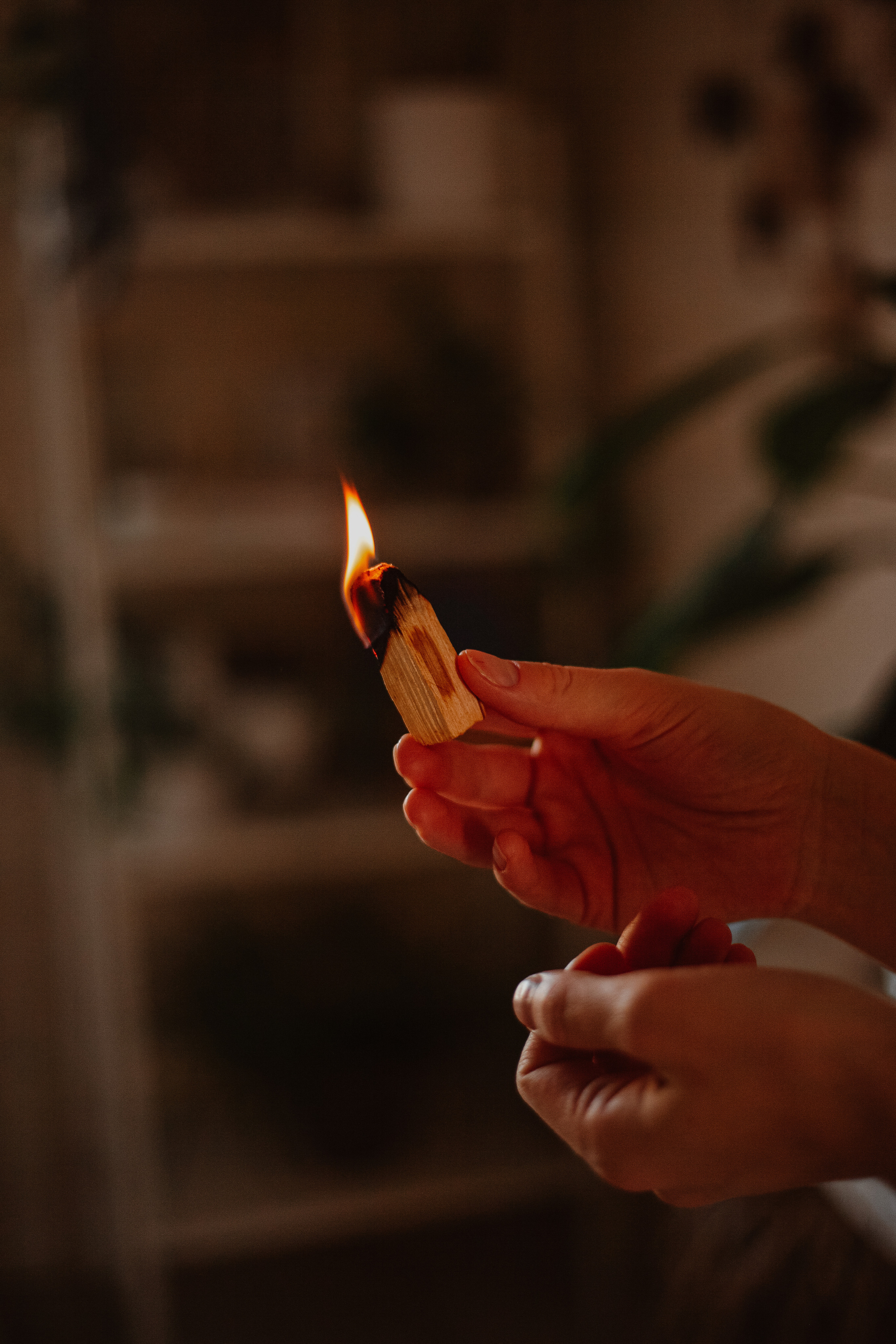 Рождественские каникулы в семье Заколодкиных. Главная