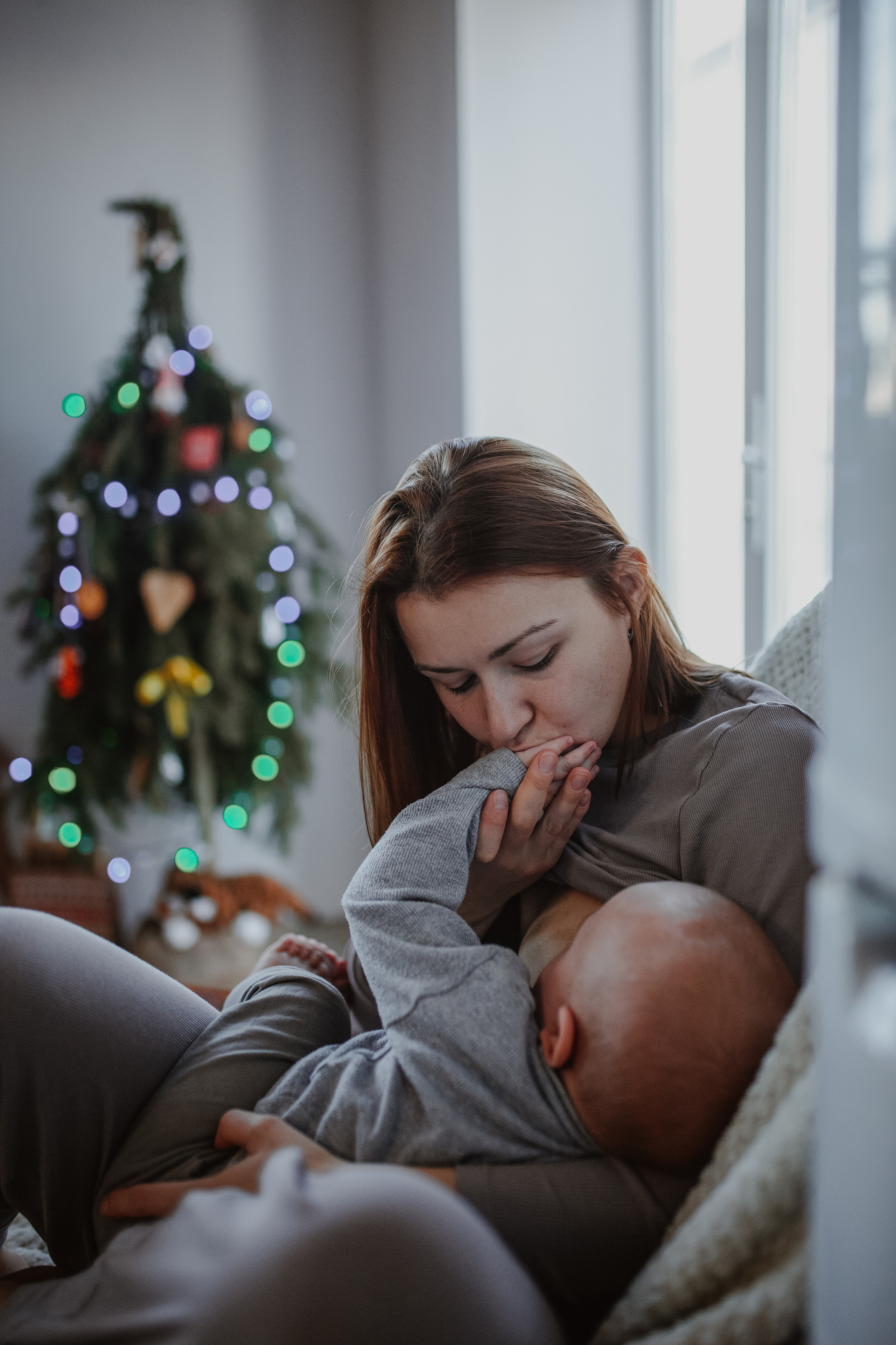 Рождественские каникулы в семье Заколодкиных. Главная