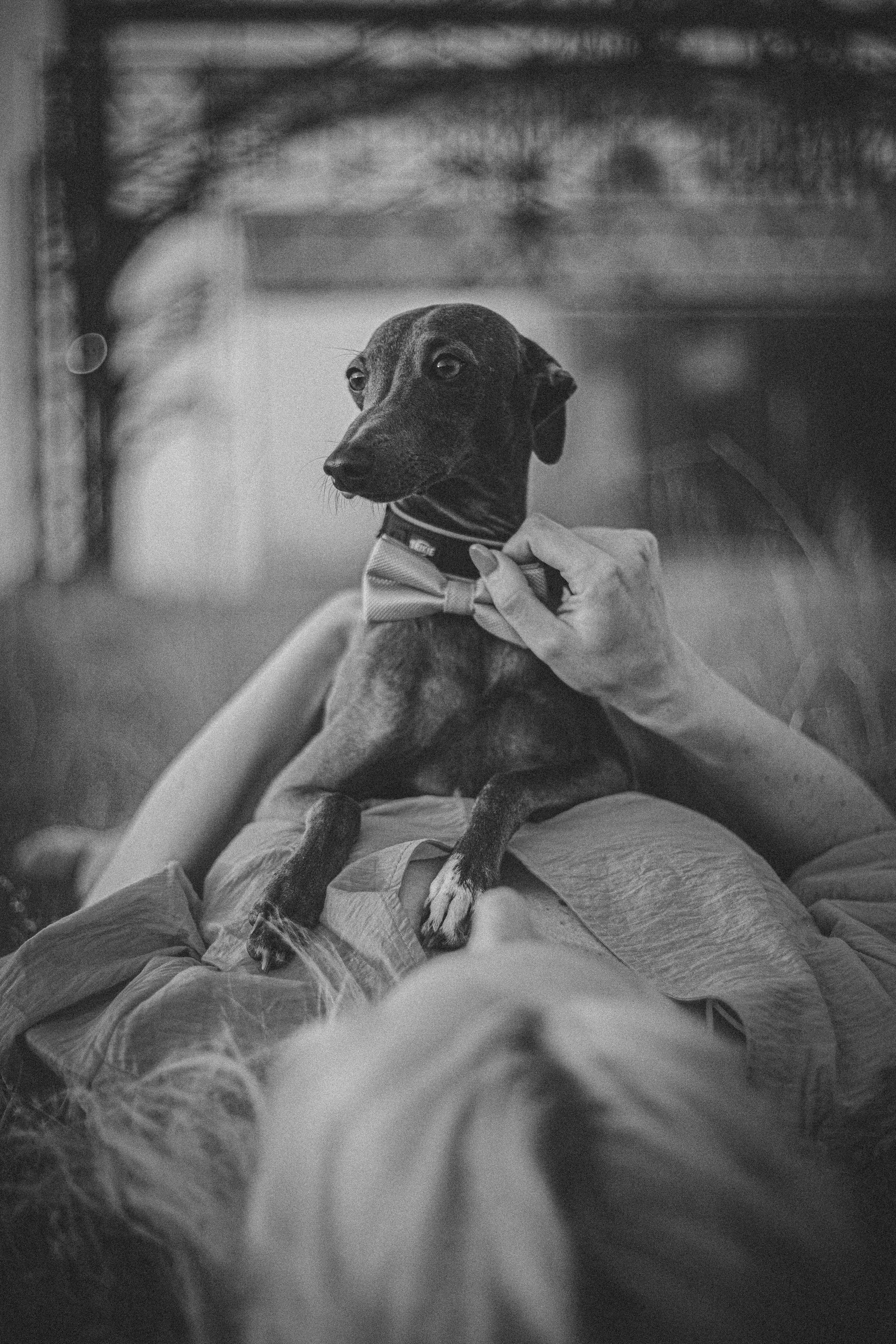 Светлана и Гарри. Главная