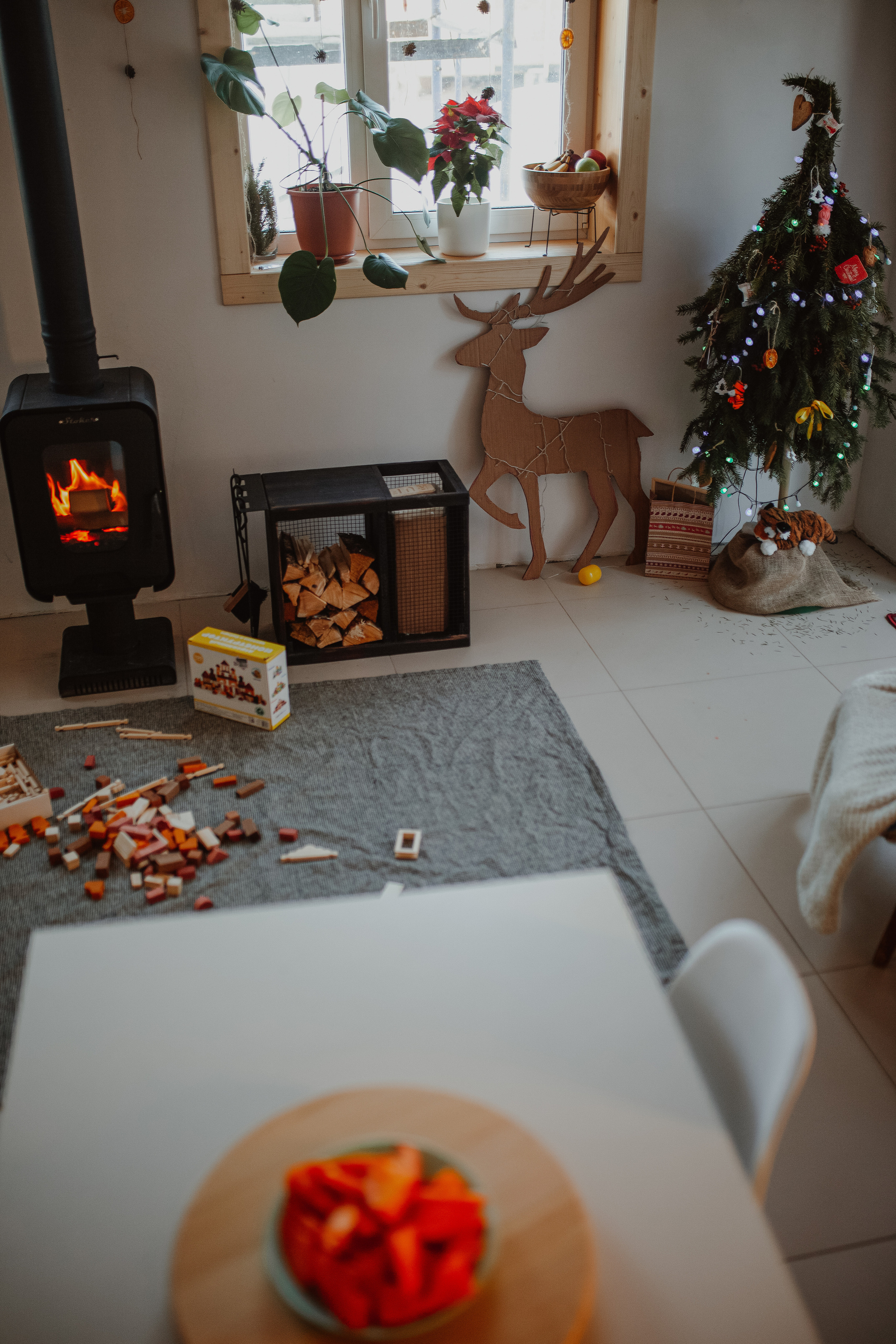 Рождественские каникулы в семье Заколодкиных. Главная