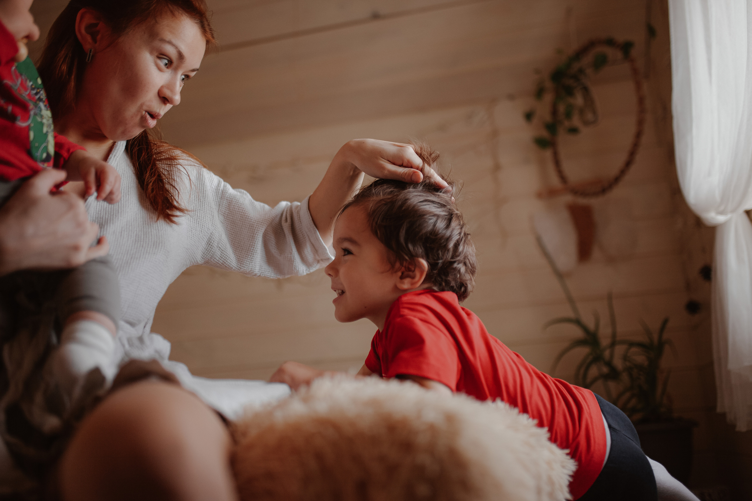 Рождественские каникулы в семье Заколодкиных. Главная